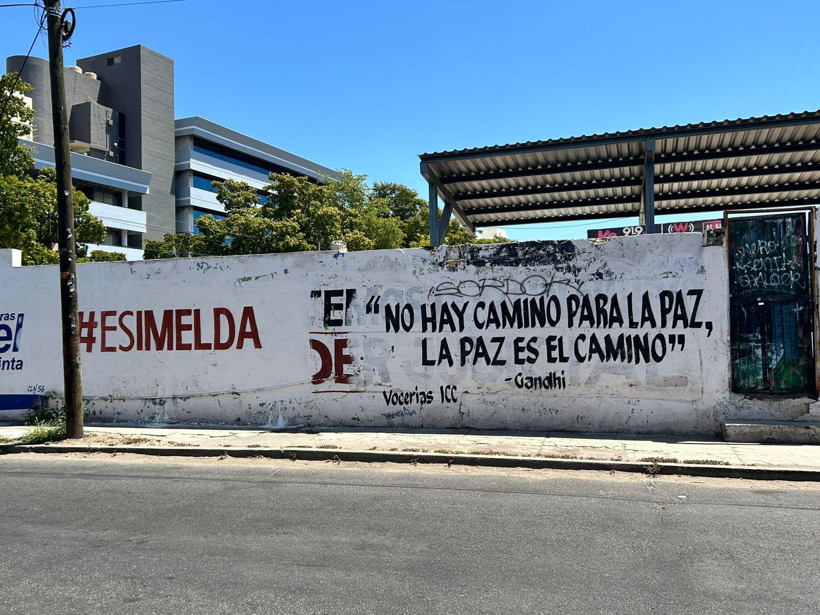 $!Imelda Castro se deslinda de propaganda con su nombre en Sinaloa