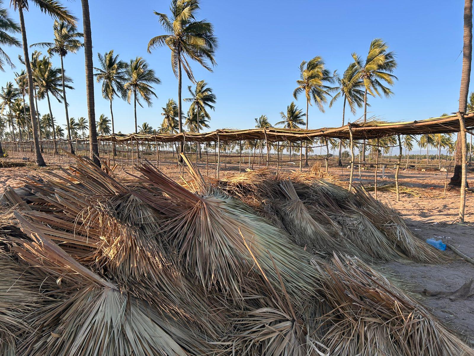 $!Avanza construcción de enramadas para las Fiestas del Mar de Las Cabras en Escuinapa