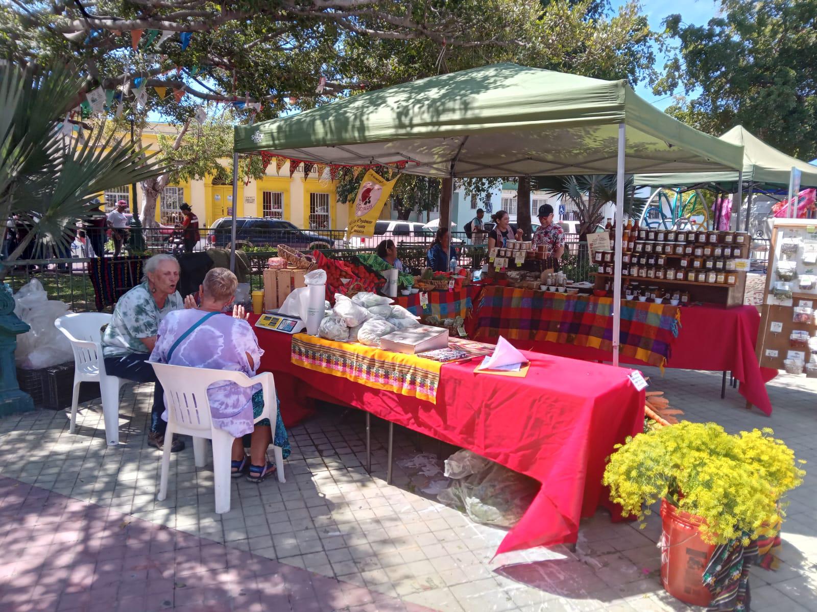 $!Invitan a asistir a los dos últimos sábados del Mercado Orgánico de Mazatlán