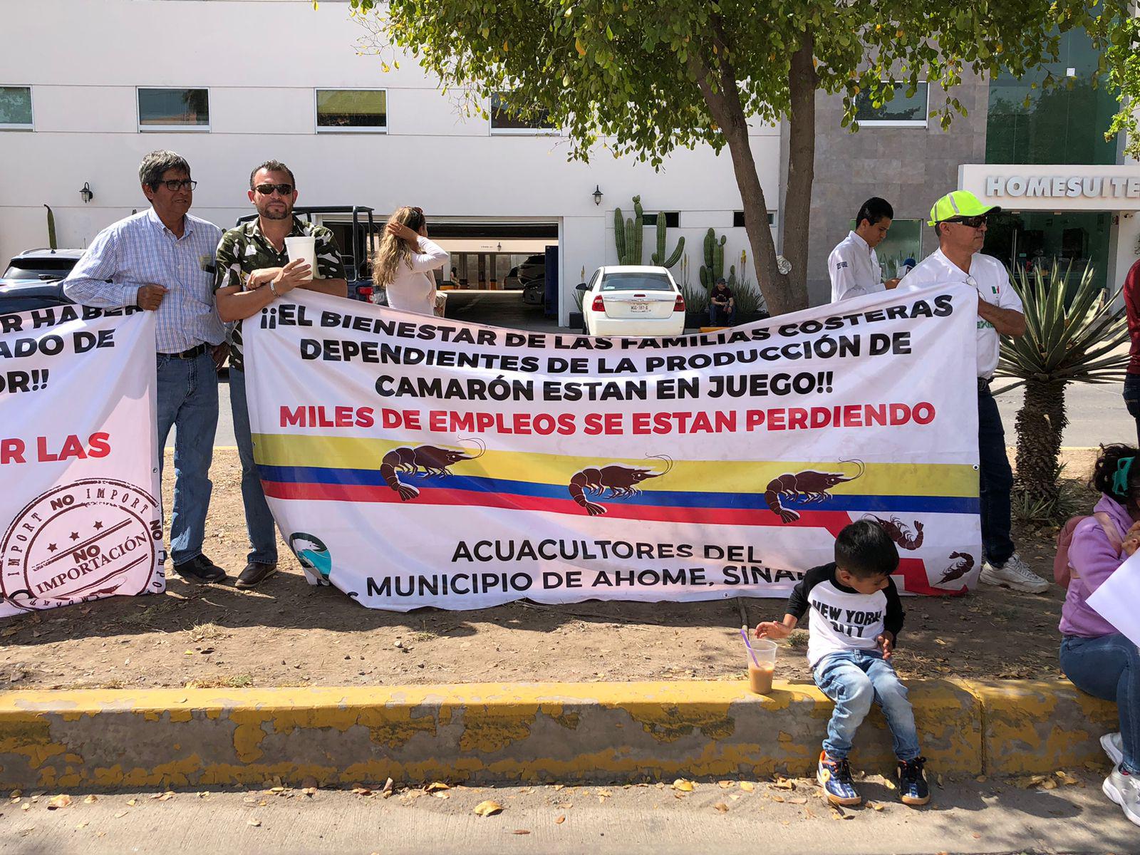 $!Productores de camarón piden a AMLO cerrar frontera a importaciones