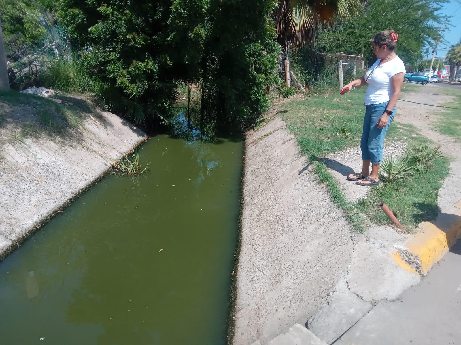 $!Canal del fraccionamiento Flamingos, en Mazatlán, tiene olor a drenaje