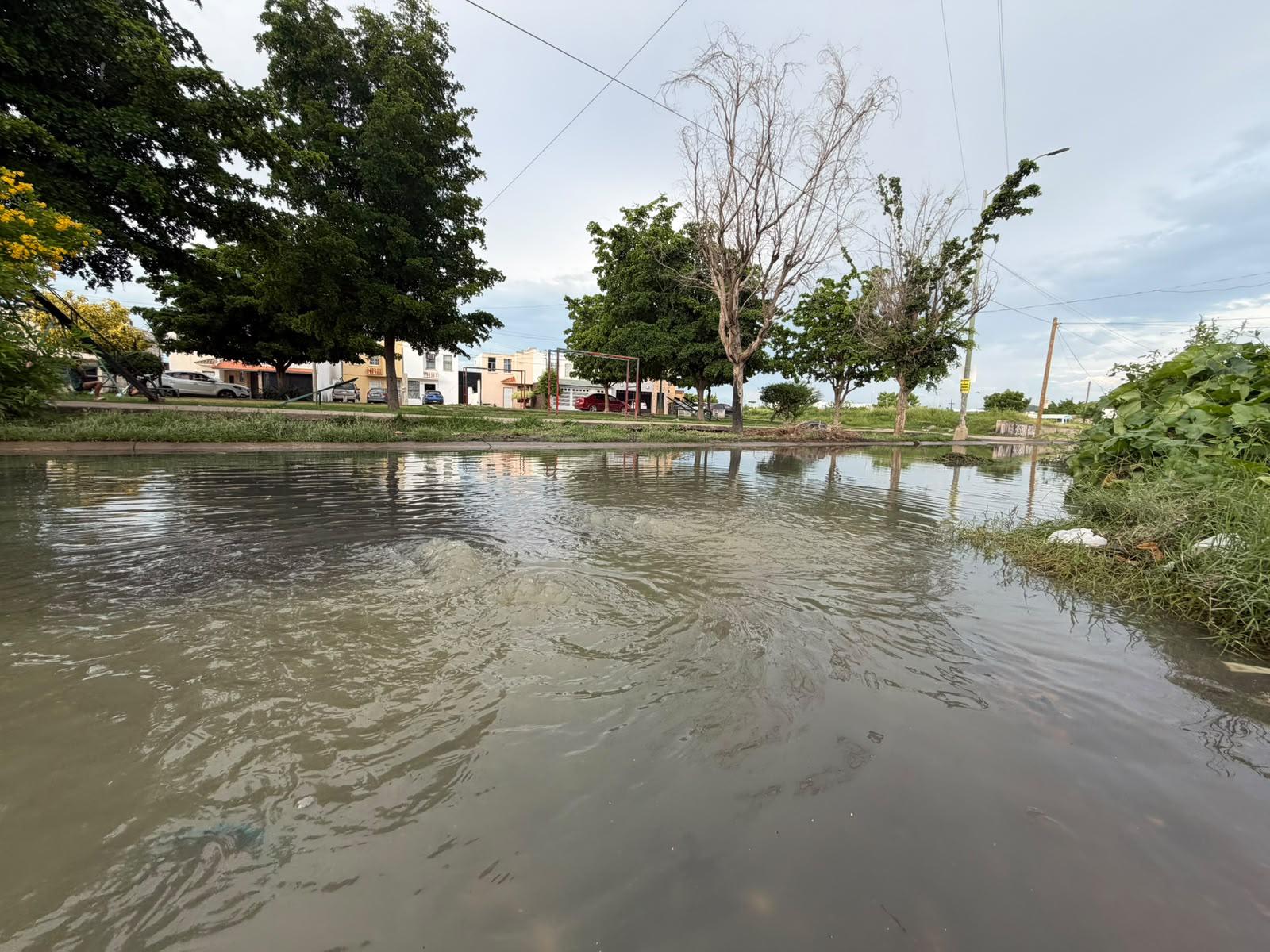 $!Exigen solución a derrame de aguas negras en Bugambilias-La Esperanza
