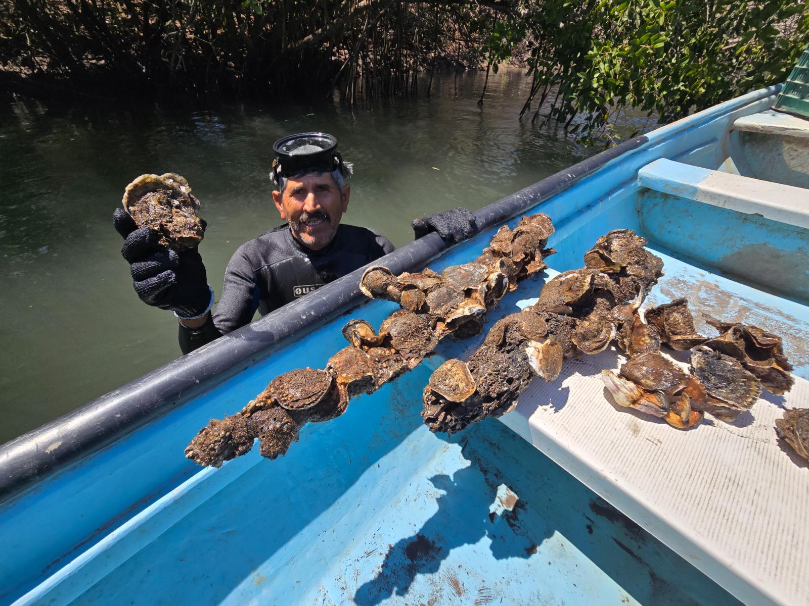 $!Marco Antonio tiene más de 40 años como productor de ostión al elegir la pesca por profesión en Chametla