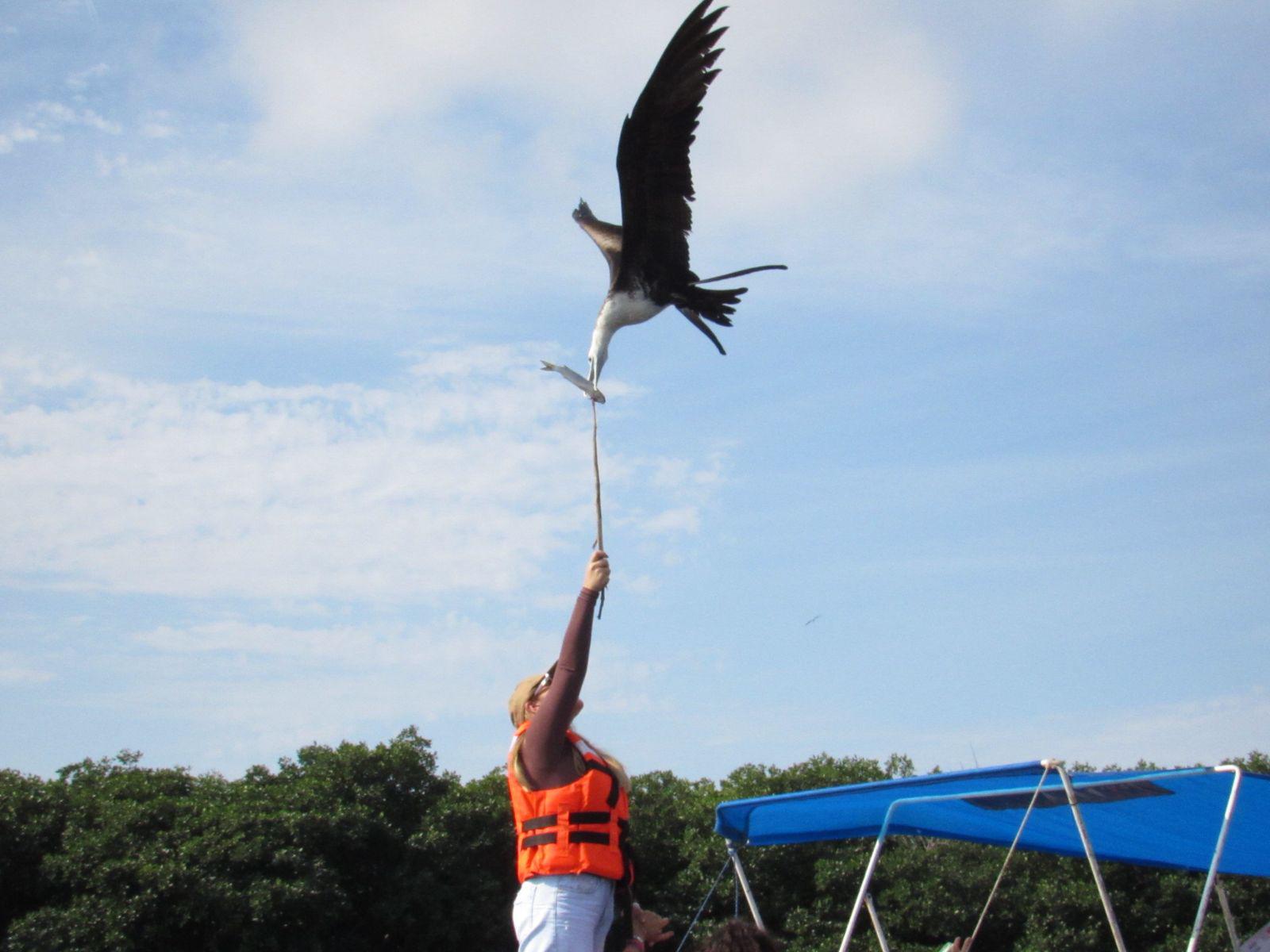 $!Impulsa Sectur turismo regenerativo en humedales y manglares de Mazatlán