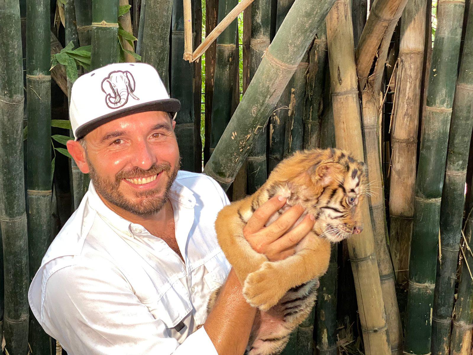 $!Nace tigre de bengala en el Zoológico de Culiacán