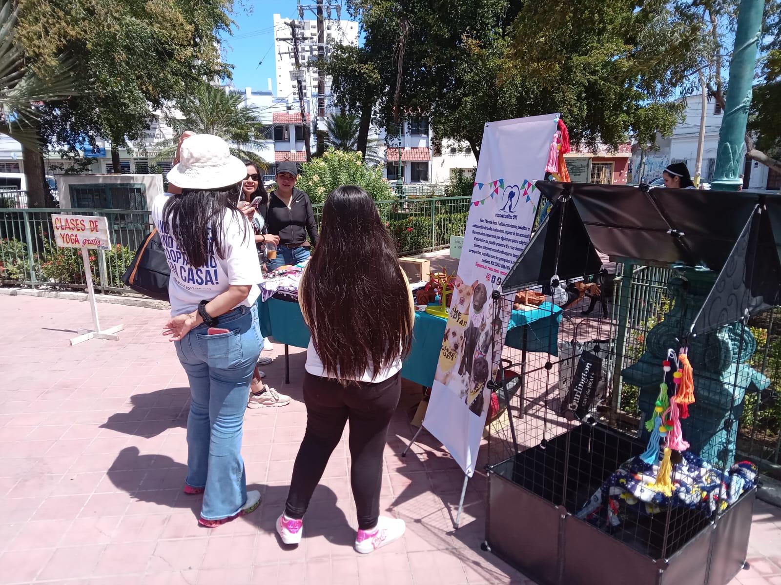 $!Invitan a asistir a los dos últimos sábados del Mercado Orgánico de Mazatlán