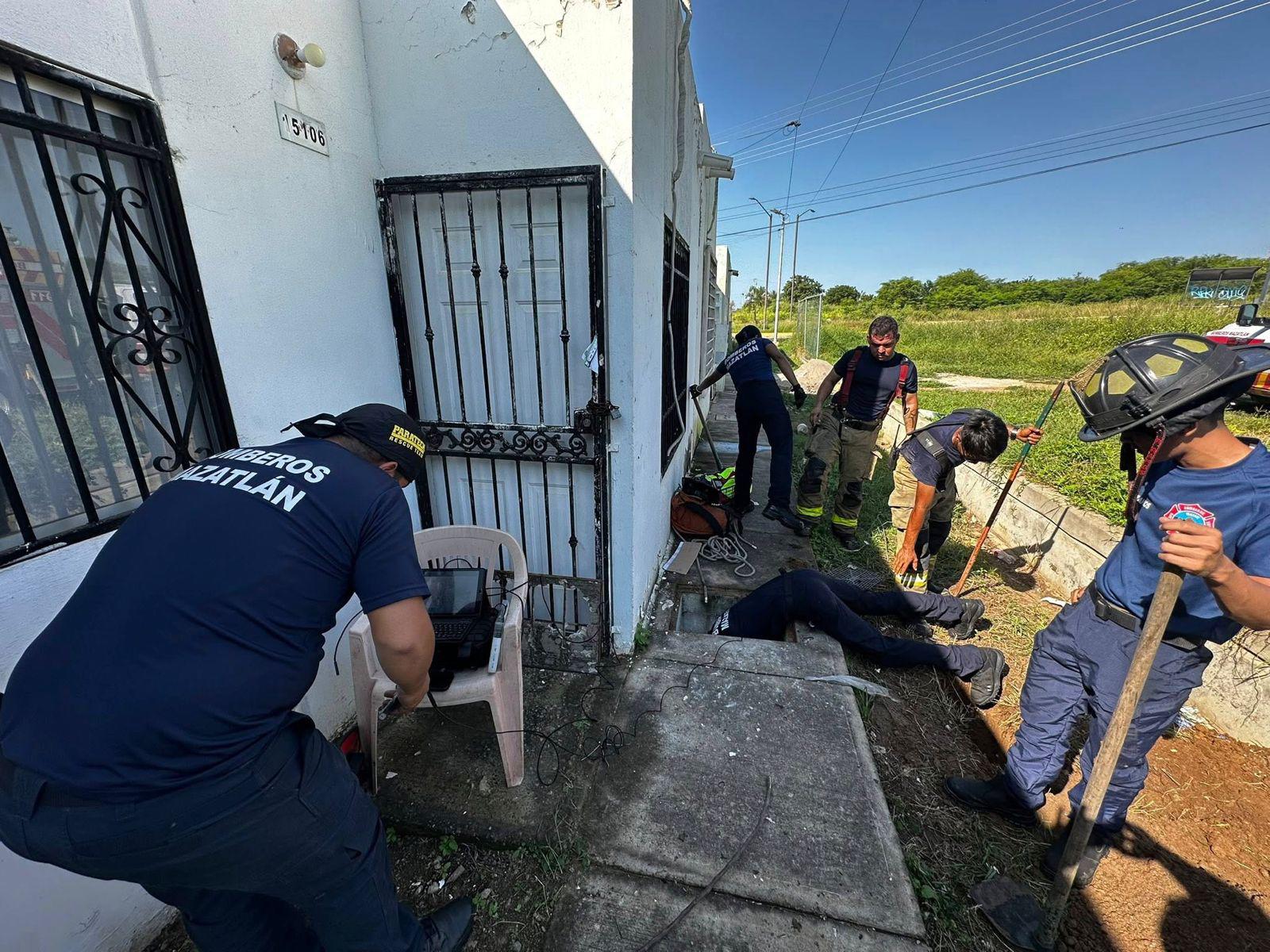 $!Bomberos de Mazatlán salvan a dos gatitos atrapados en una tubería
