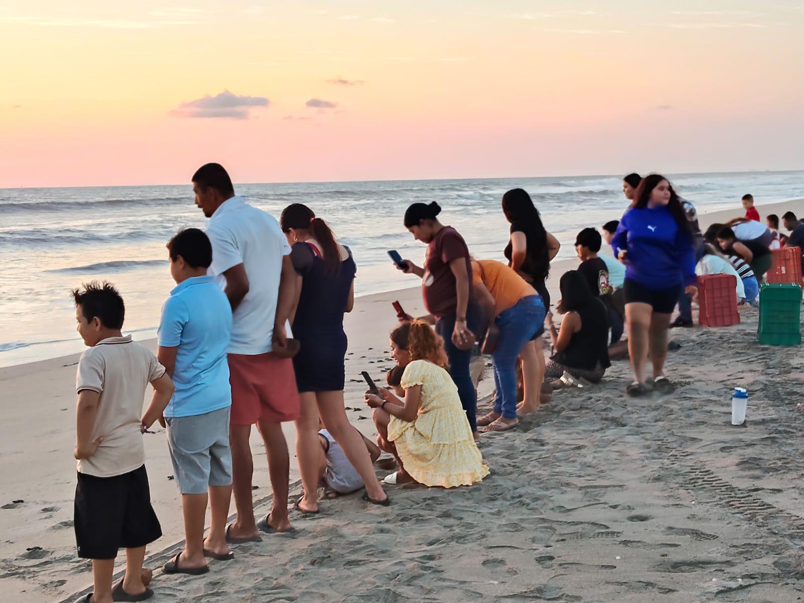 $!Familias de Rosario participan en la liberación de 1,800 tortugas marinas