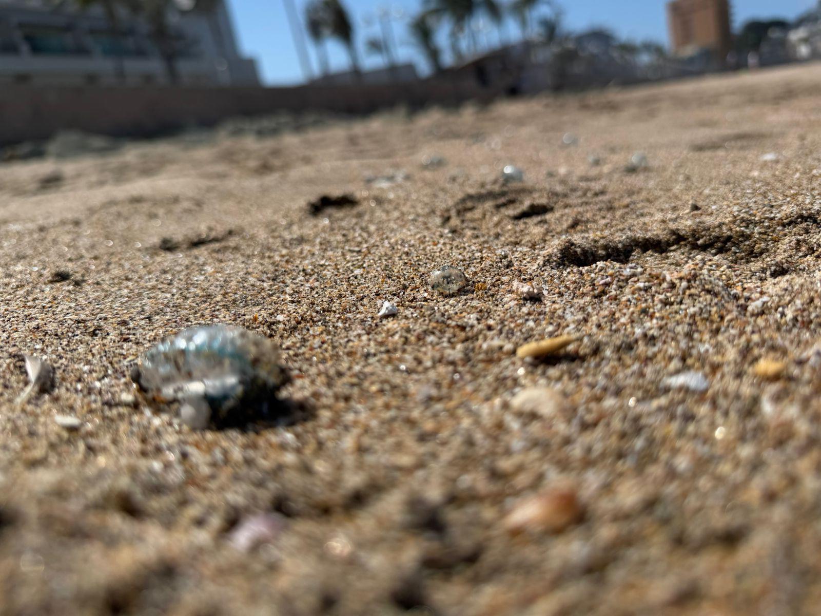 $!Mar de fondo persiste este domingo en Mazatlán; salvavidas extreman precauciones