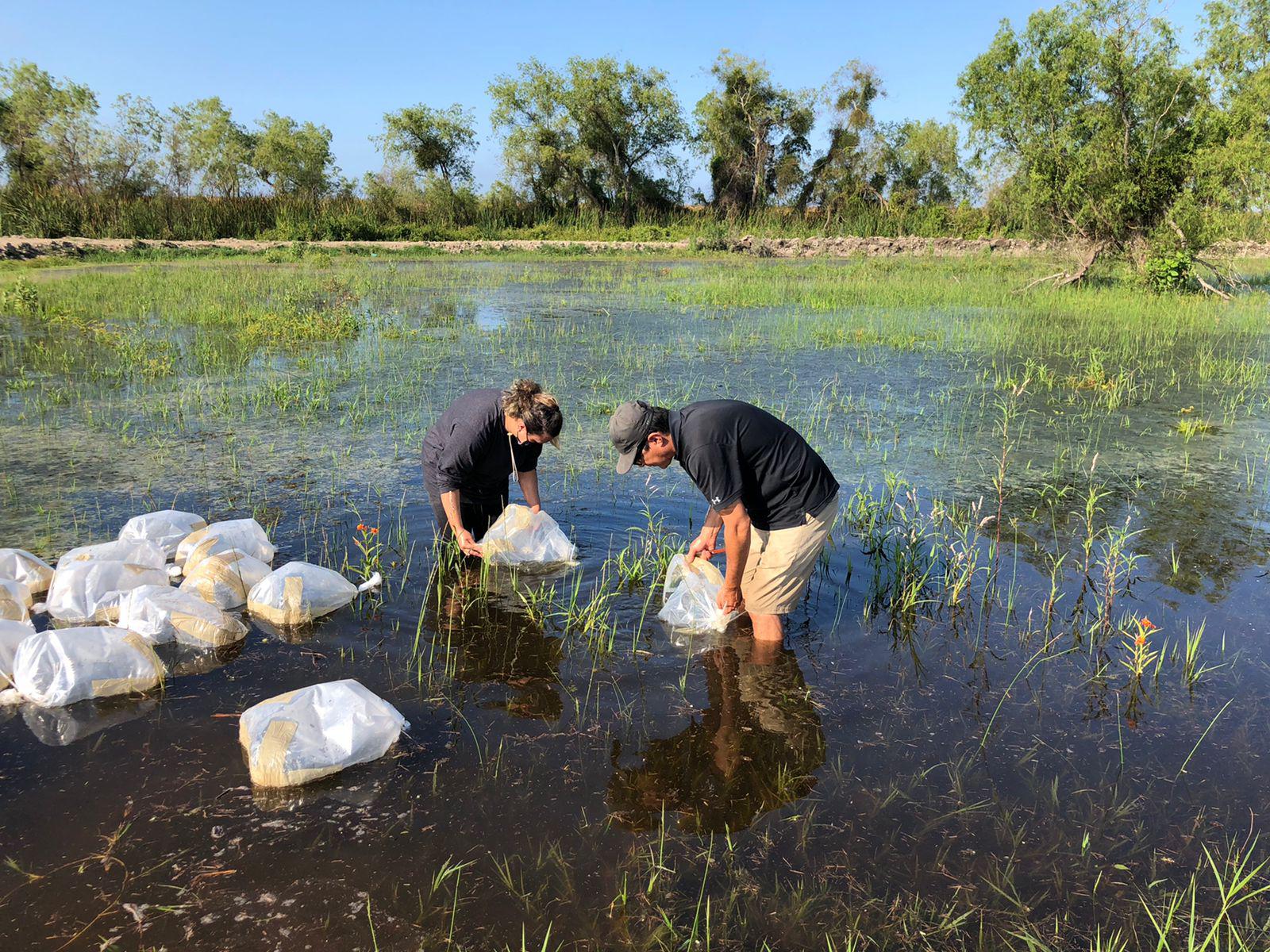 $!El proyecto logró la medalla de bronce en la competencia internacional APCYS 2021.
