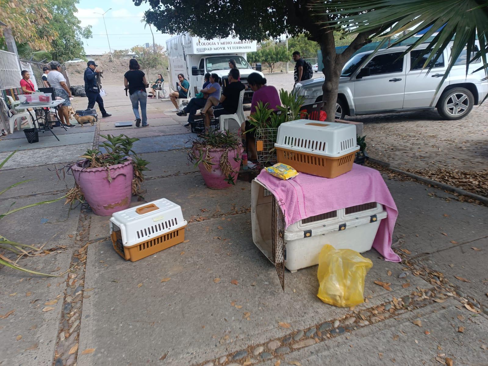$!Camión esterilizador de Ecología llega esta semana a la colonia Casa Hogar, en Mazatlán