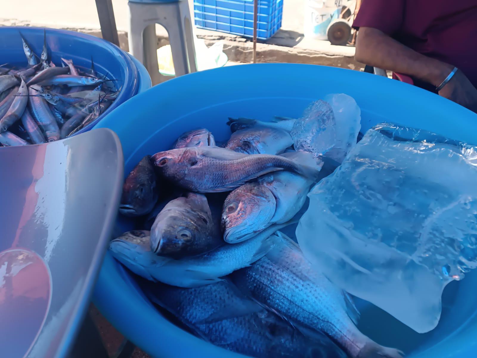 $!Reportan incremento del 70% de ventas en puestos de ‘changueras’ en Mazatlán durante Carnaval