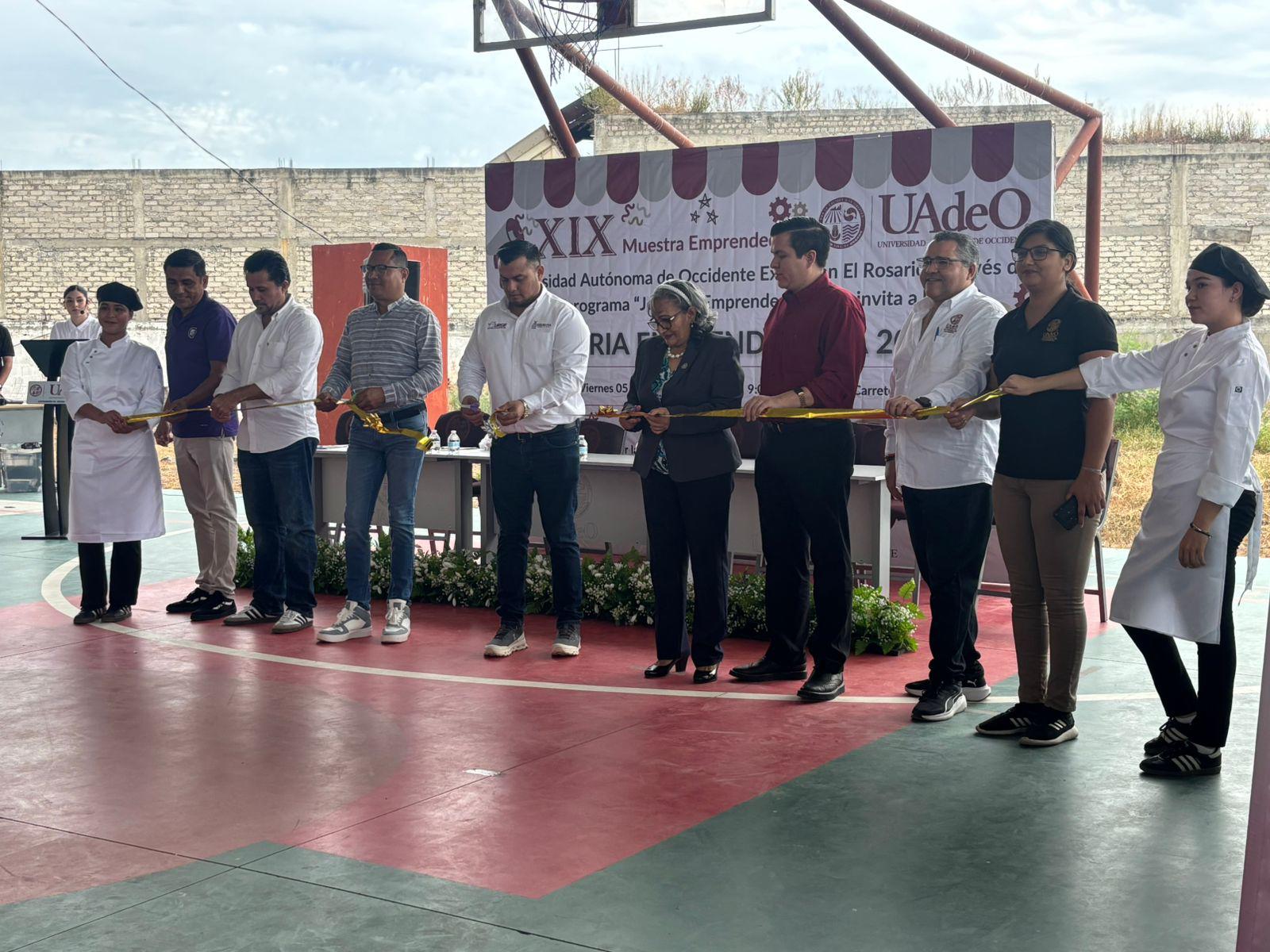 $!De nuevo se registra ataque de abejas en la UAdeO en Rosario