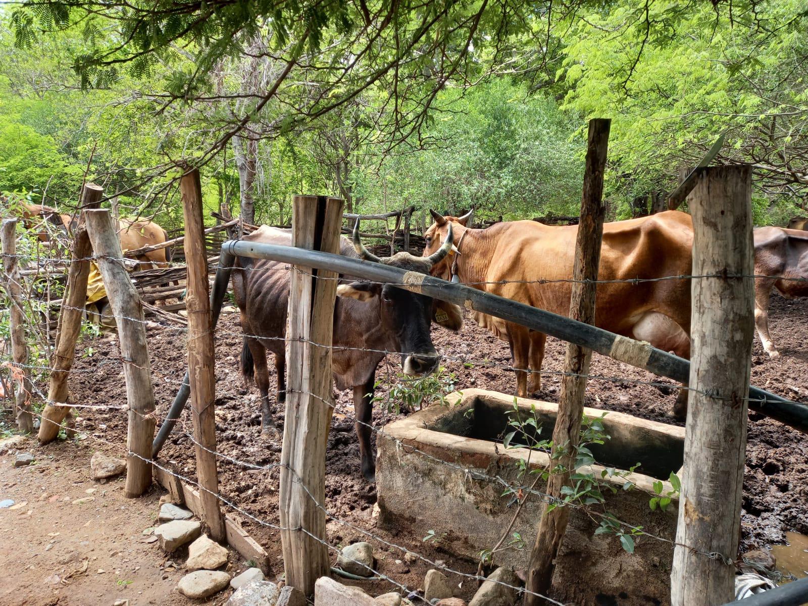 $!Habitantes de Cosalá reportan accidente ecológico por mina