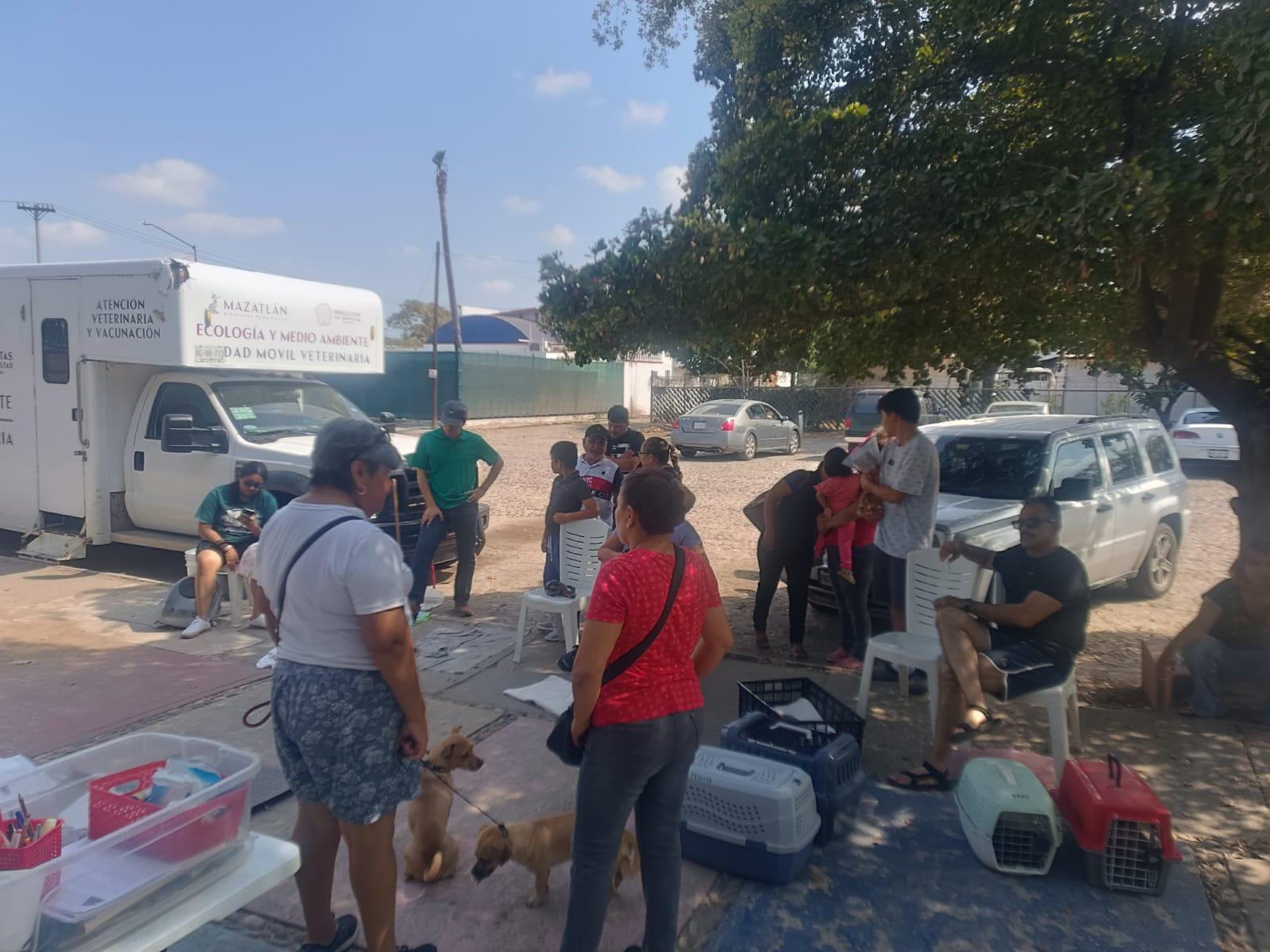 $!Acuden vecinos de Fovissste Playa Azul a jornada de esterilización de Ecología
