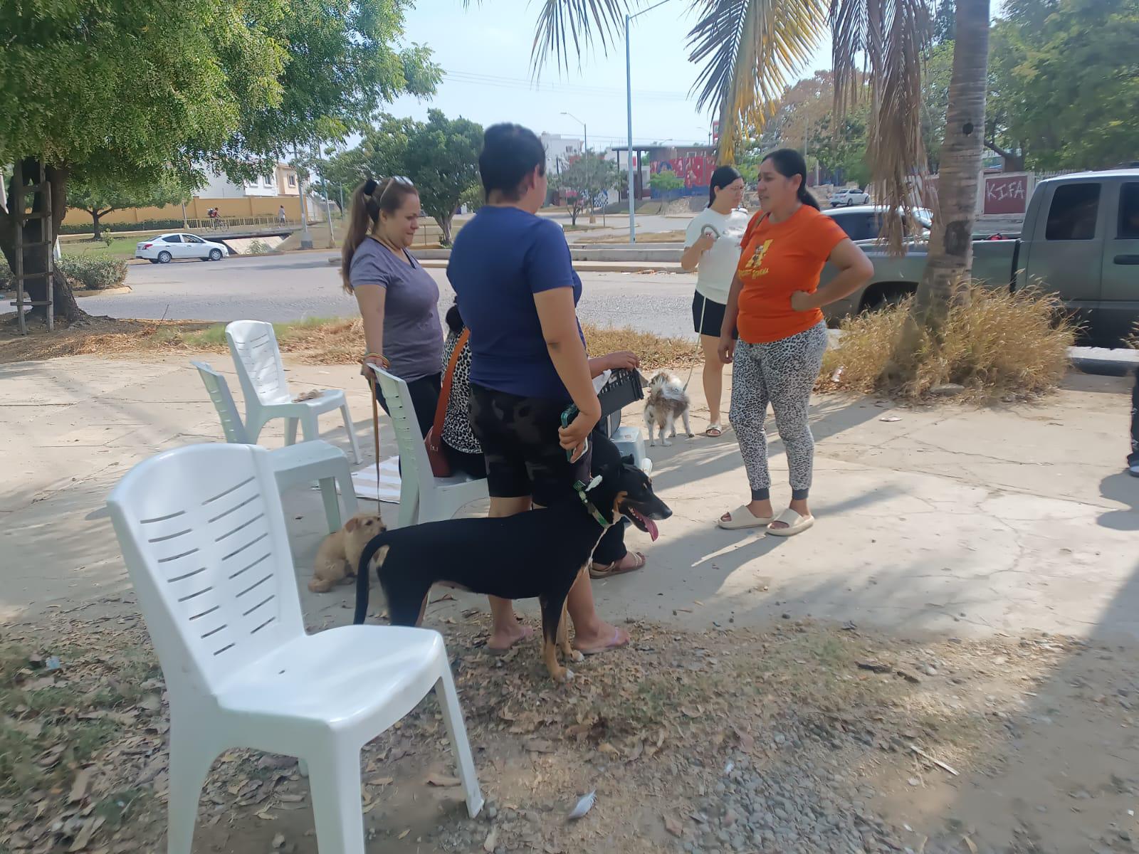 $!Colonos del Infonavit Alarcón reciben activa jornada de esterilización para sus mascotas