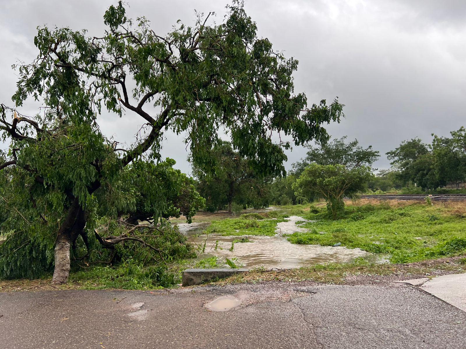 $!Evacuados, cortes de energía, árboles caídos y escurrimientos, lo que dejó ‘Roslyn’ a su paso por Escuinapa