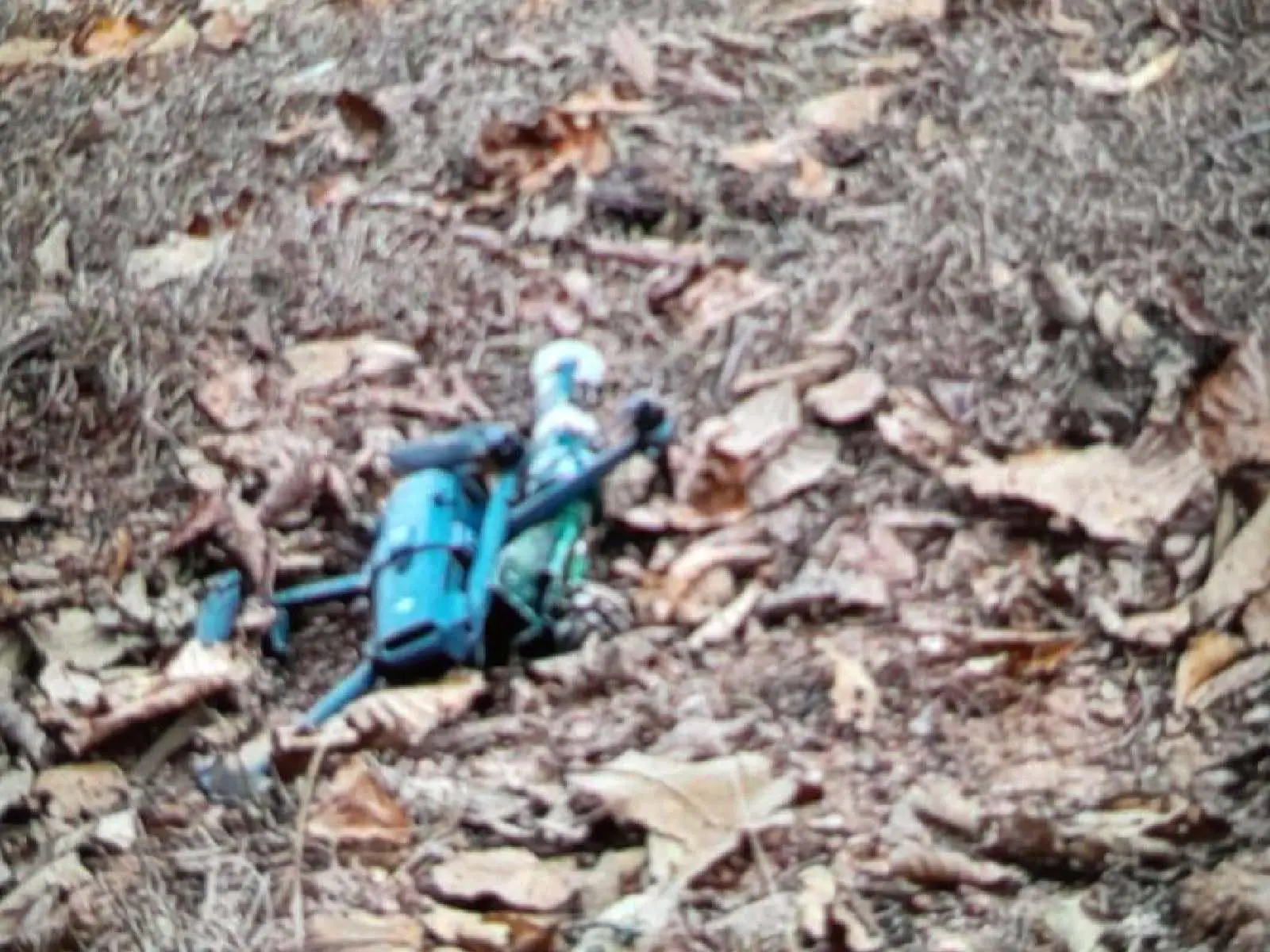 $!Comunidades indígenas de Guerrero reportan ataques con explosivos y desplazamiento forzado en la Montaña Baja