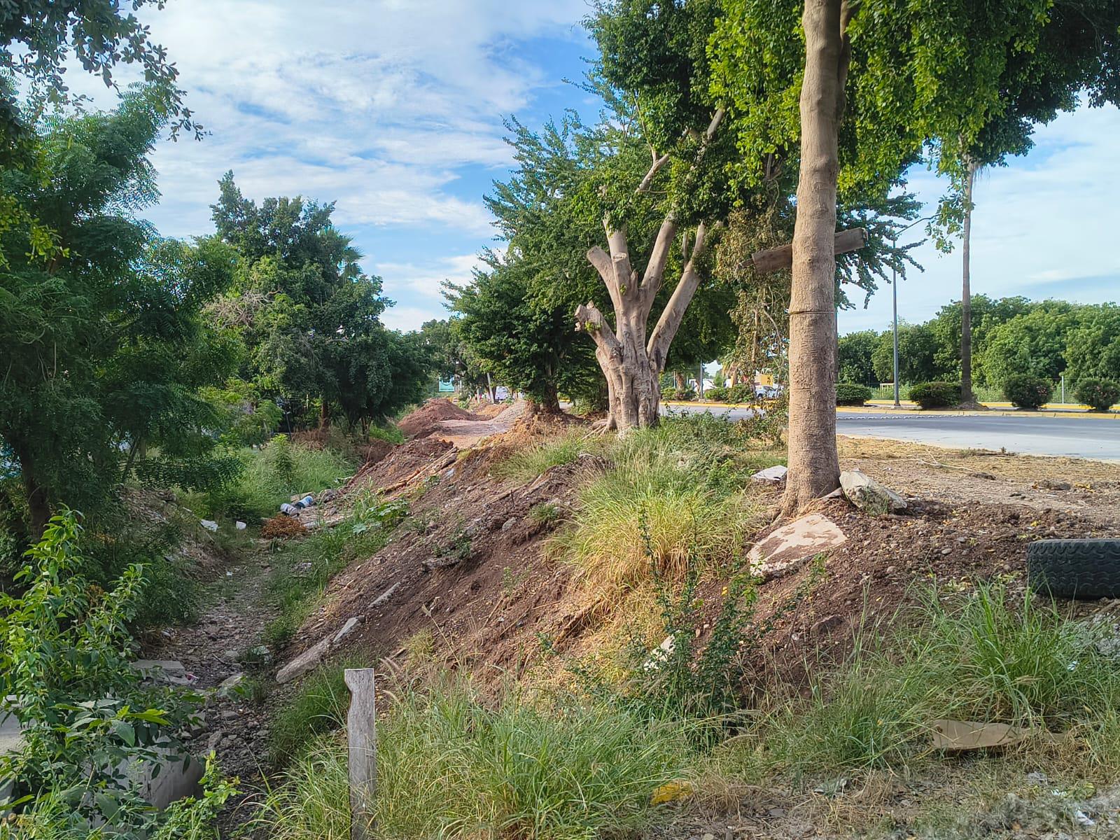 $!Vecinos de San Fernando y Praderas en Los Mochis exigen detener ‘saqueo’ de áreas verdes; bloquean el bulevar Rosales