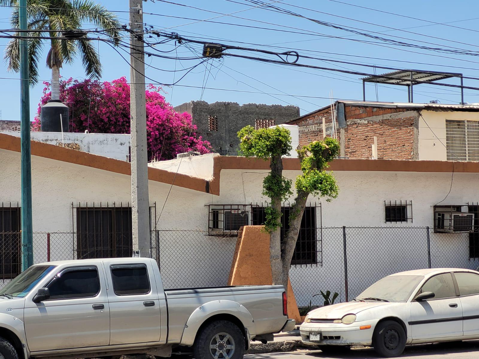 $!Ayuntamiento de Culiacán poda árboles por petición de ciudadanos, aseguran funcionarios
