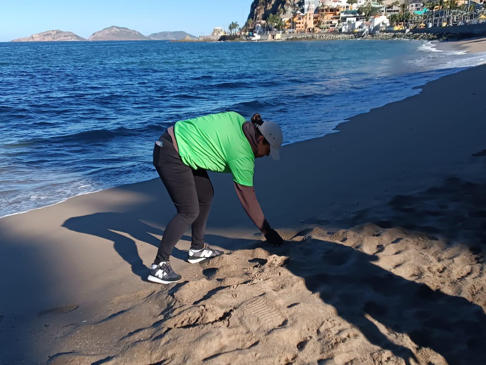$!Partido Verde despide el Carnaval con limpieza de playas en Olas Altas