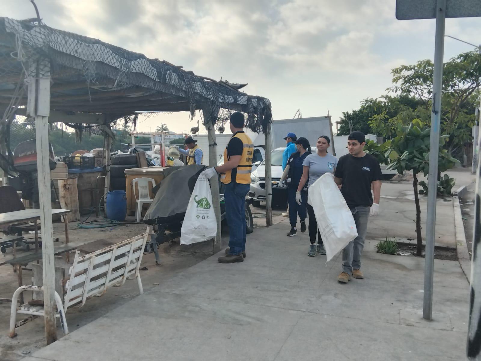 $!Realizan Jornada Cuidemos los Manglares en el Estero del Infiernillo