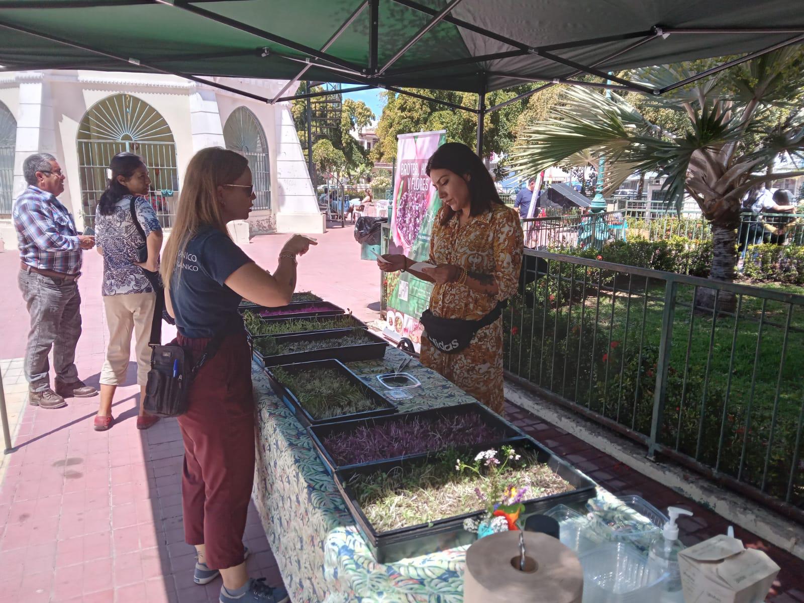 $!Invitan a asistir a los dos últimos sábados del Mercado Orgánico de Mazatlán