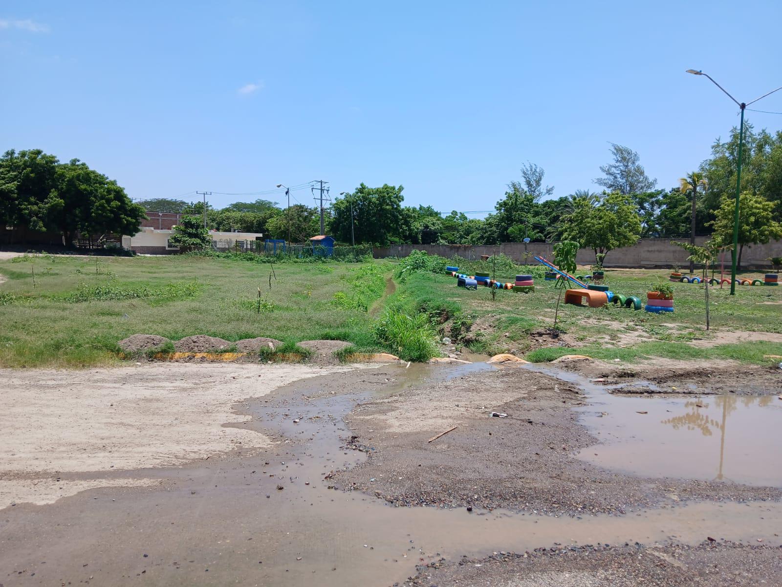 $!Denuncian vecinos derrame de drenaje y mosquitos en la Genaro Estrada, en Mazatlán