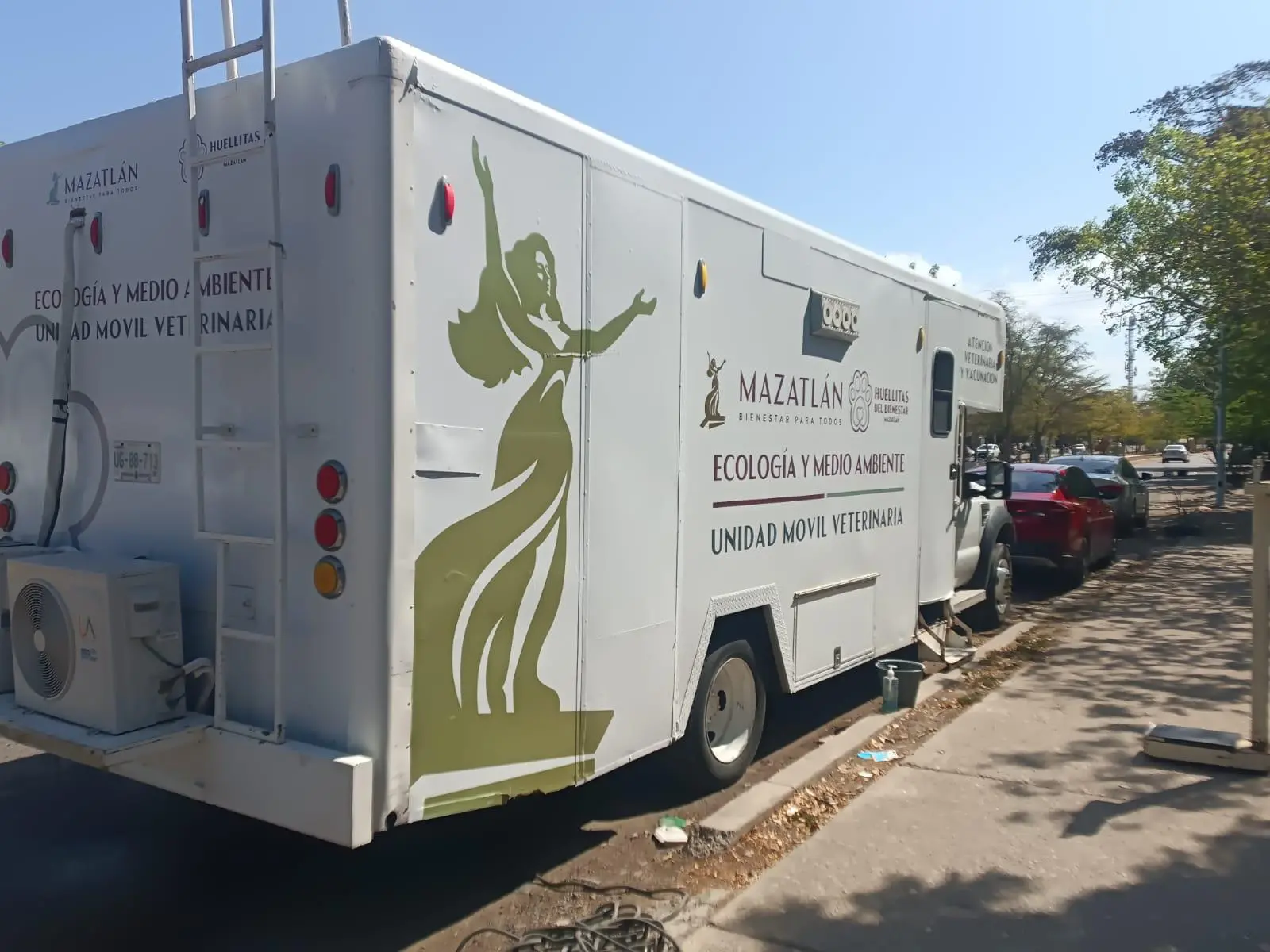 $!Michi, Botas y otras mascotas aprovechan campaña gratuita de esterilización en Infonavit Jabalíes