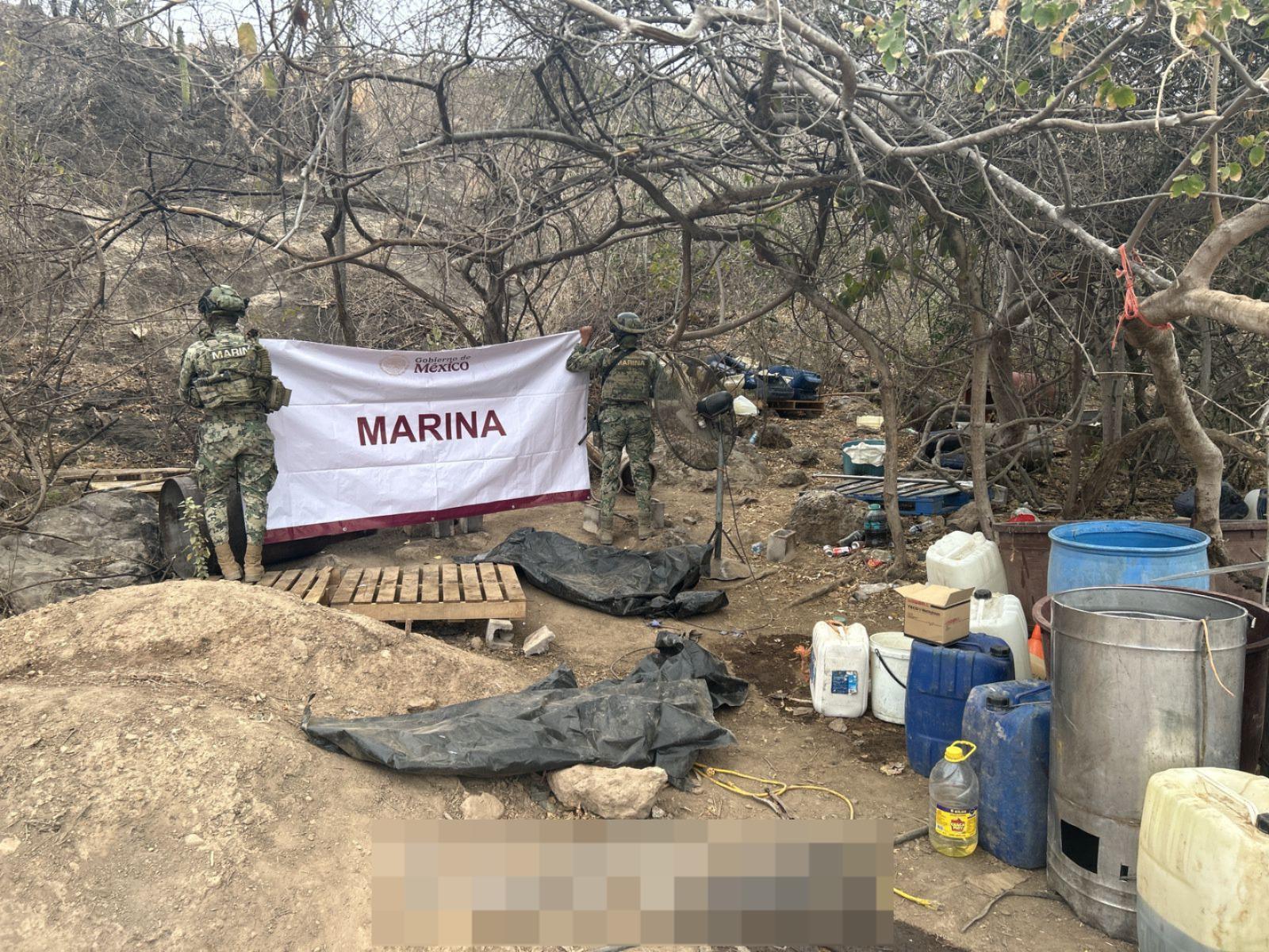 $!Marina inhabilita laboratorio clandestino y plantío de mariguana en Culiacán