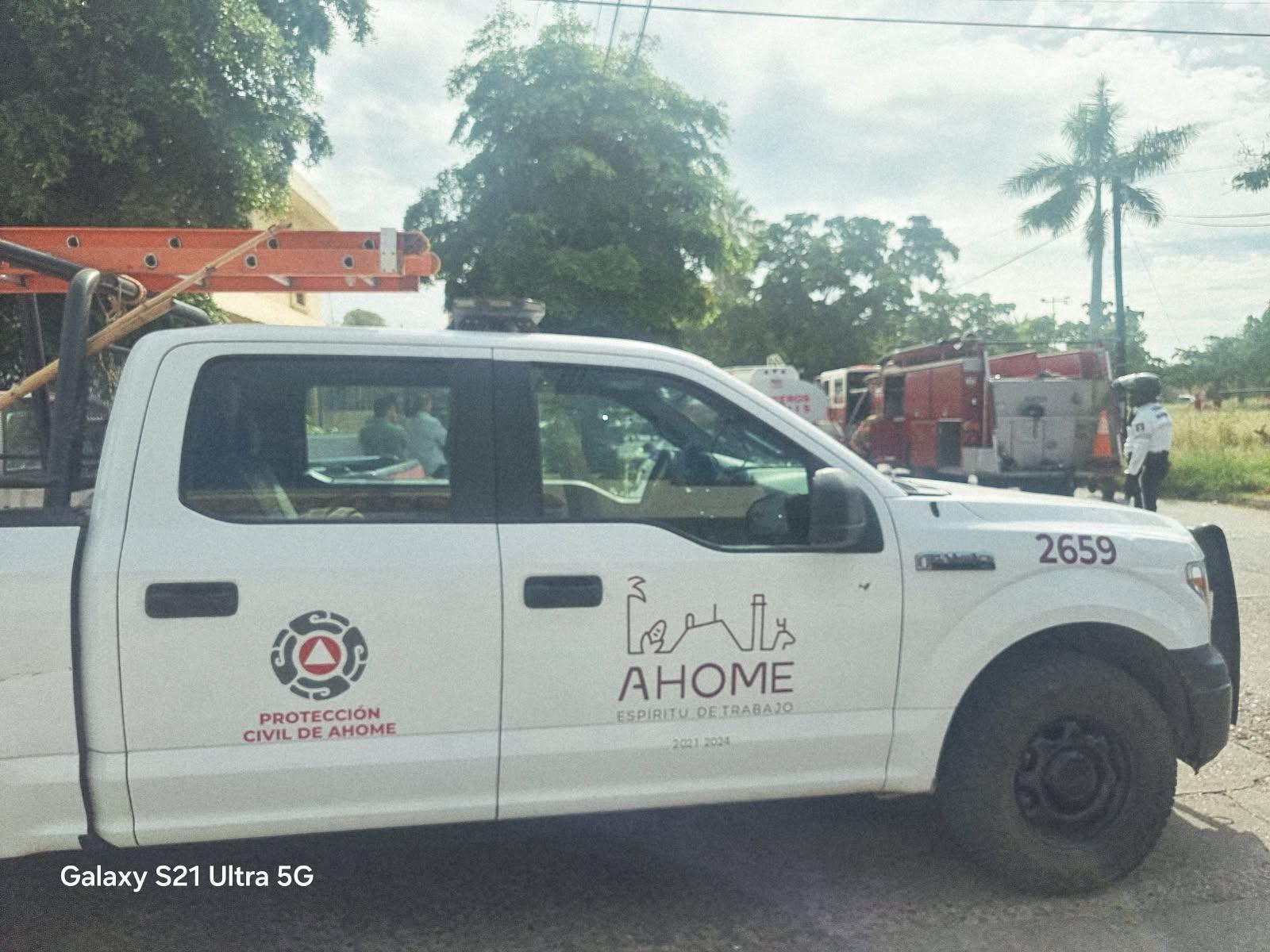 $!Rescatan a cuatro gatos tras incendio en una vivienda de la colonia Scally, en Los Mochis