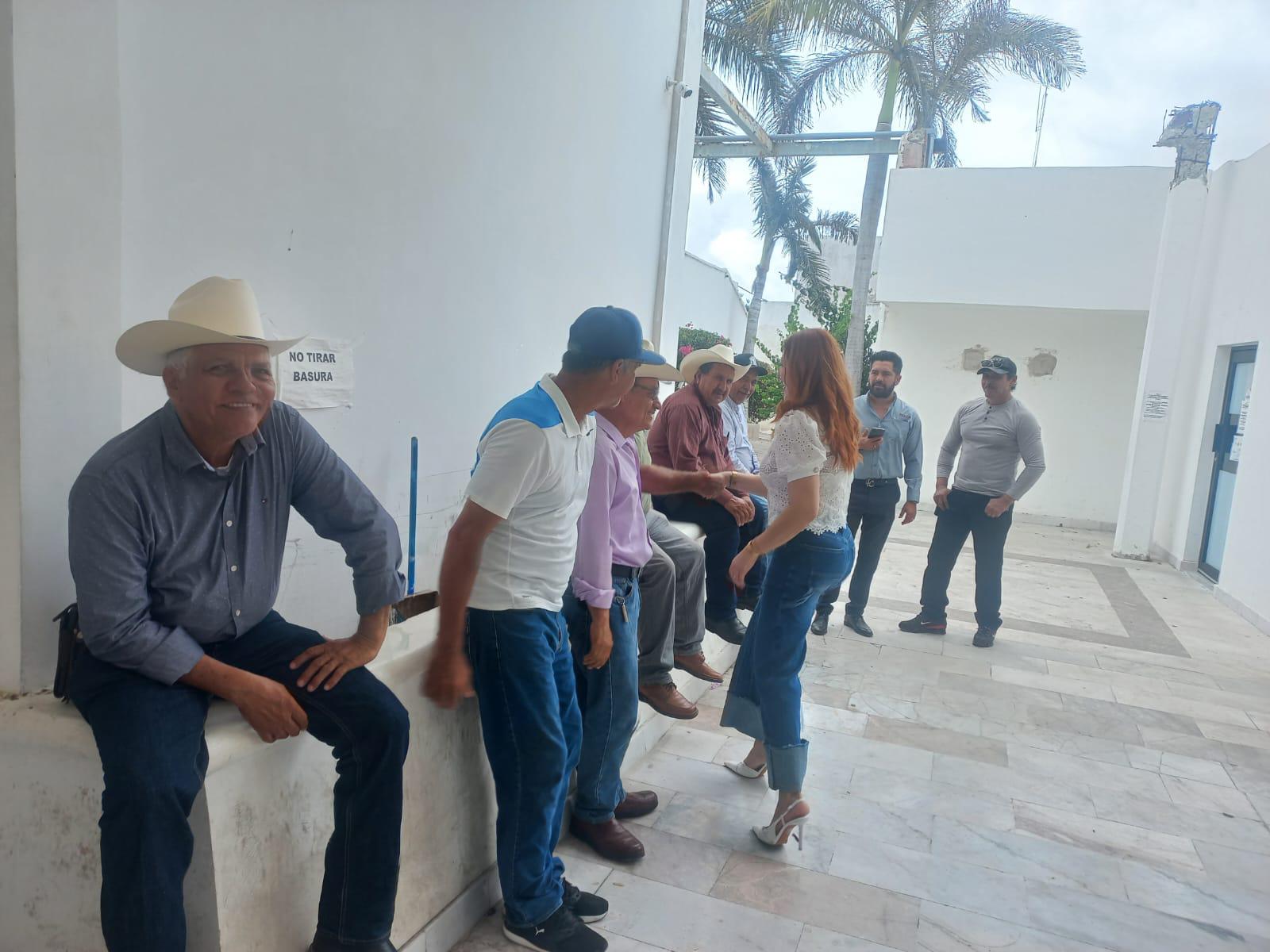 $!Próxima temporada de camarón dependerá de lluvias y dragado de Huizache Caimanero: Secretaria de Pesca