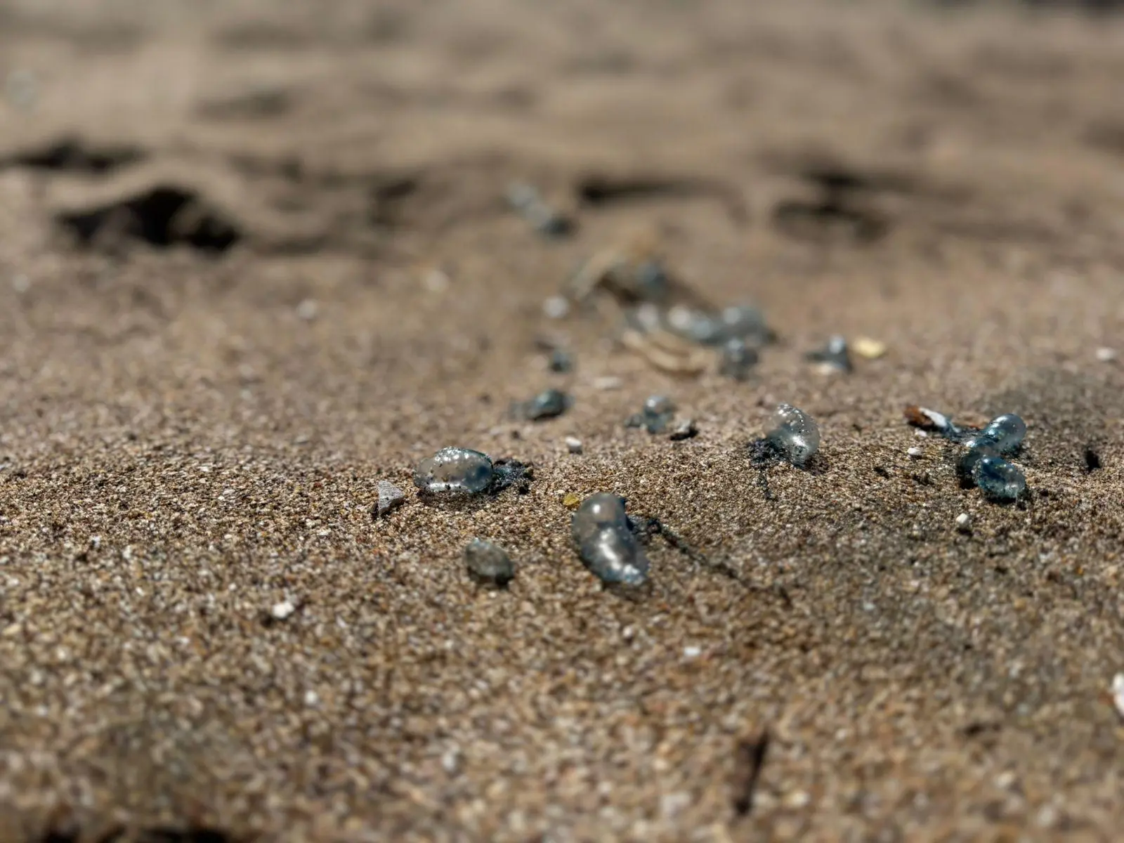 $!Mar de fondo persiste este domingo en Mazatlán; salvavidas extreman precauciones