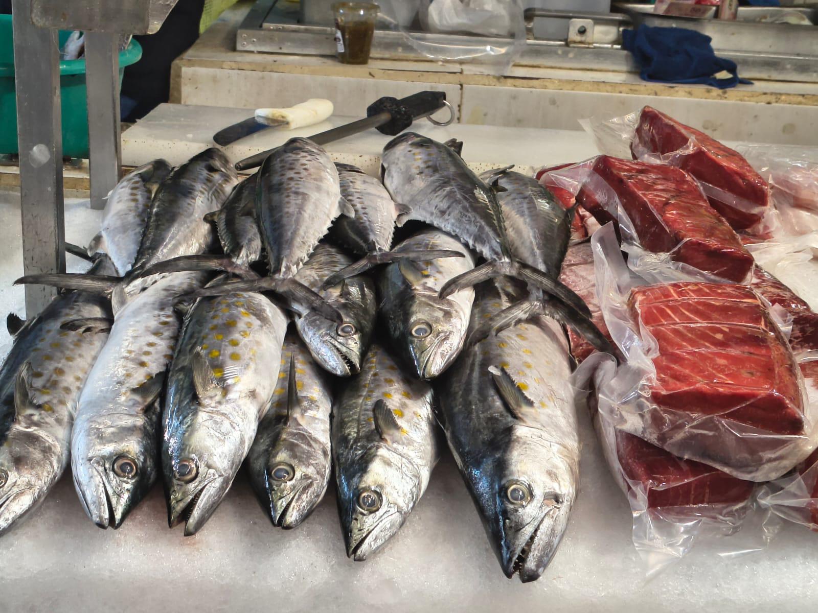 $!Inspección y Normatividad fija lista de los precios de mariscos por Cuaresma 2026 en Ahome