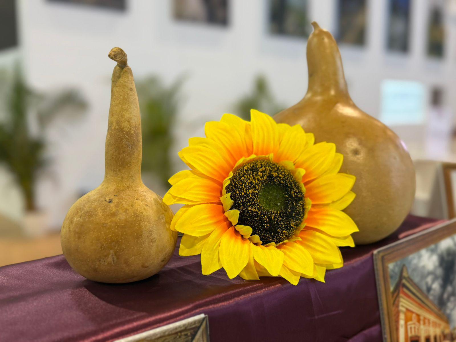 $!Conquistan miradas Escuinapa y Mocorito en el Tianguis Turístico 2026