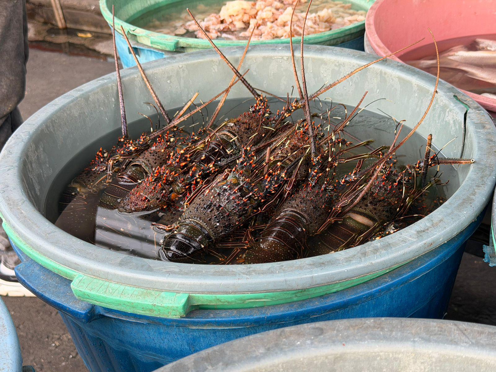 $!Dan bikers un respiro a la economía de ‘changueras’ en Mazatlán