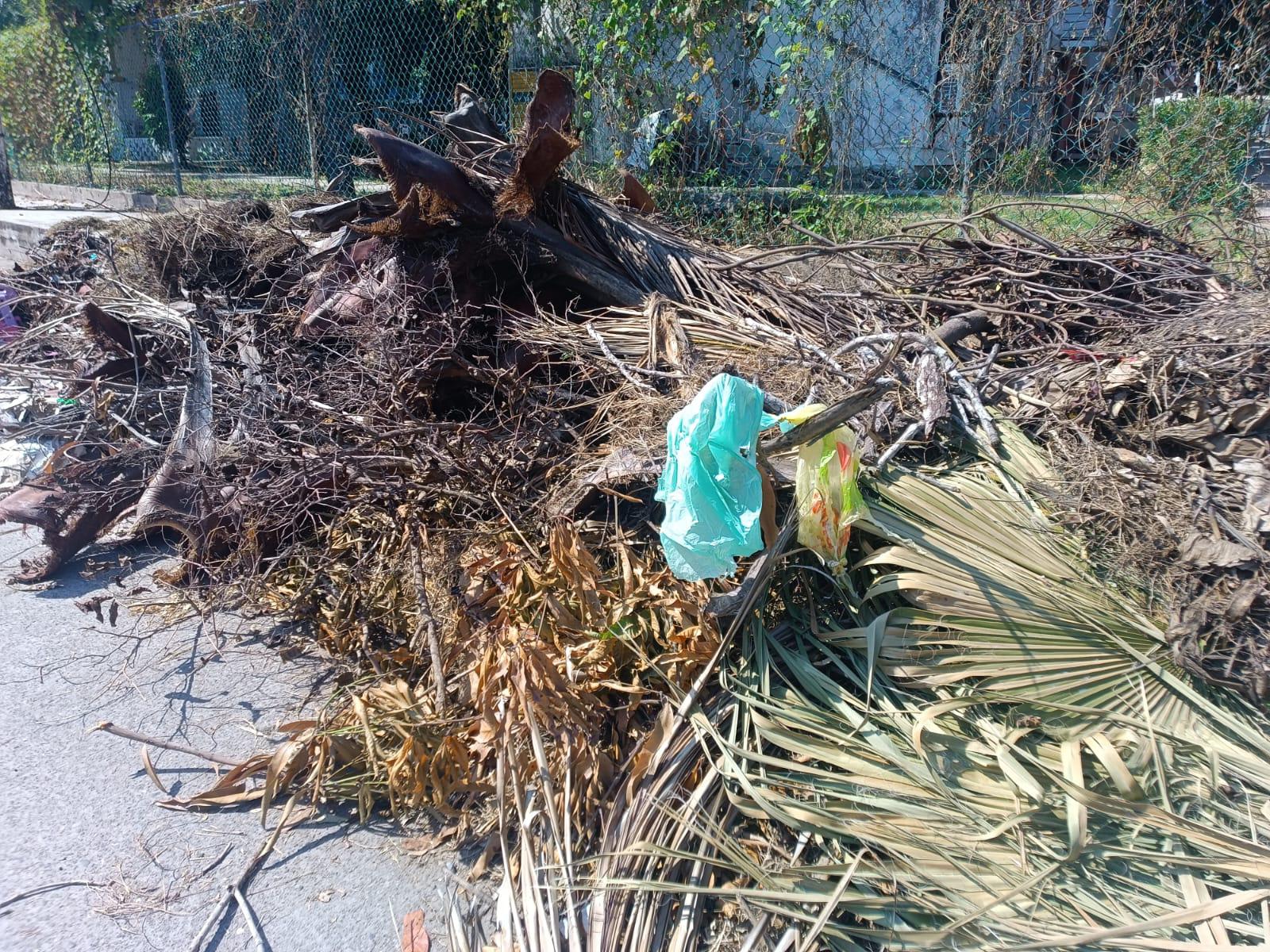 $!Reportan acumulamiento de basura en calle Ignacio Allende de colonia Juan Carrasco, en Mazatlán