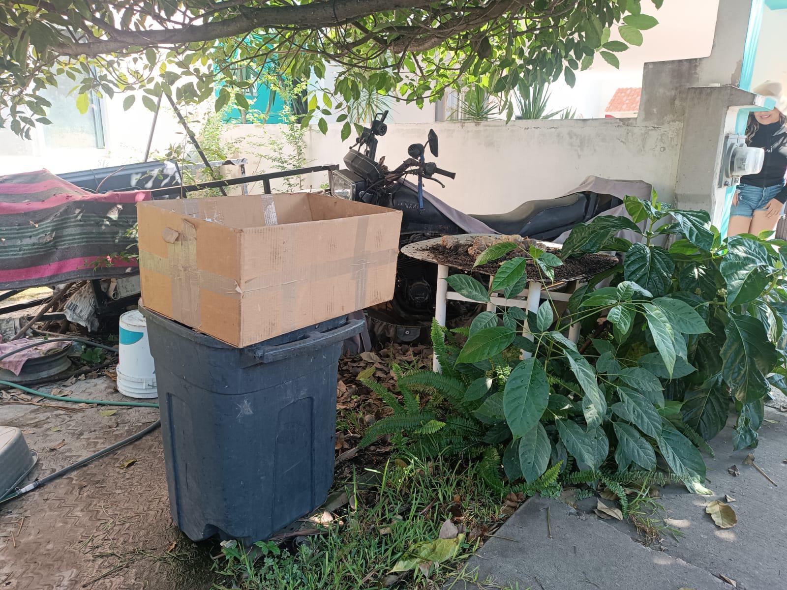 $!Atienden regidora Mylai Quintero y Ecología denuncia sobre maltrato animal en Fraccionamiento Los Mangos II