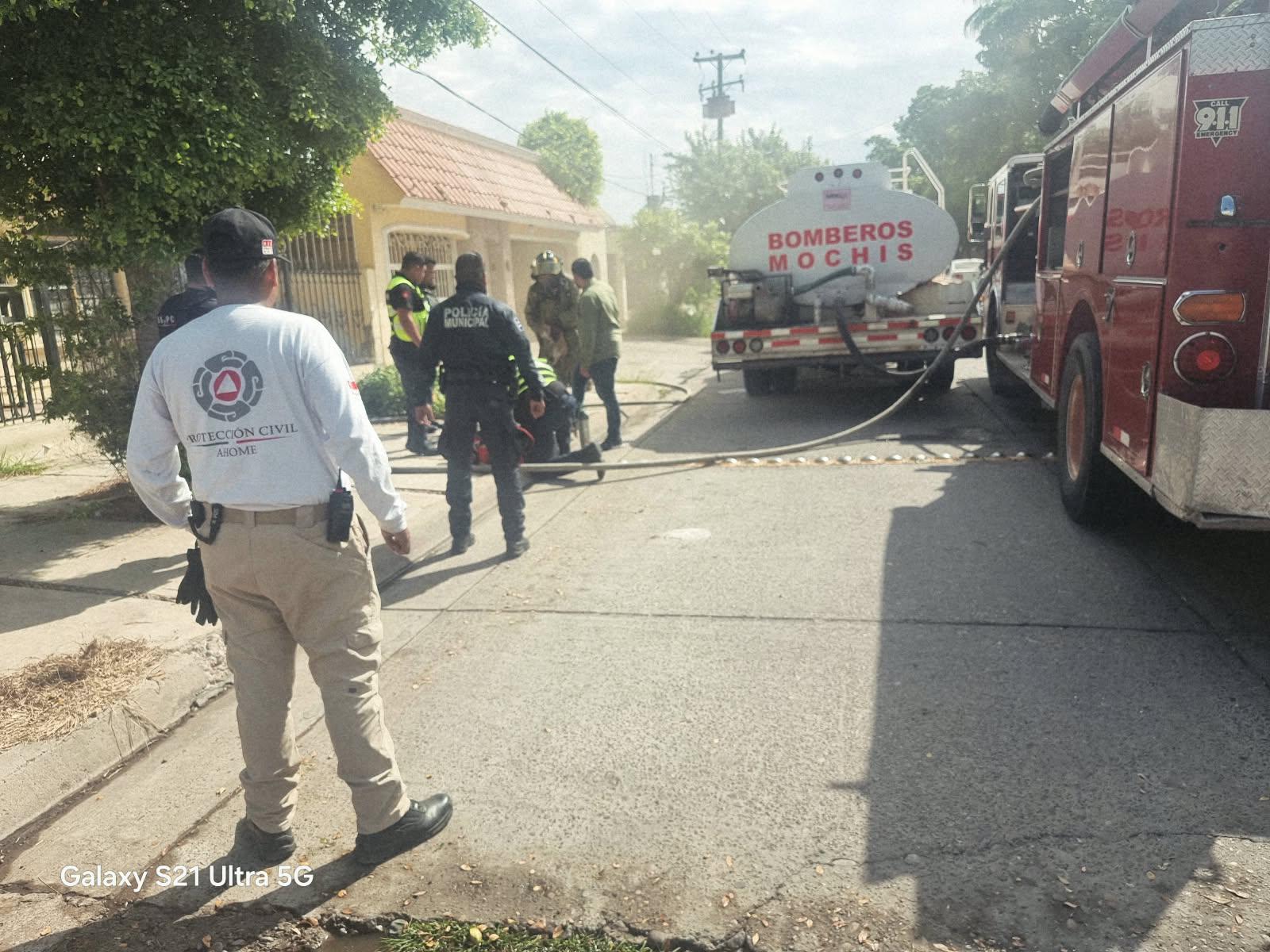 $!Rescatan a cuatro gatos tras incendio en una vivienda de la colonia Scally, en Los Mochis