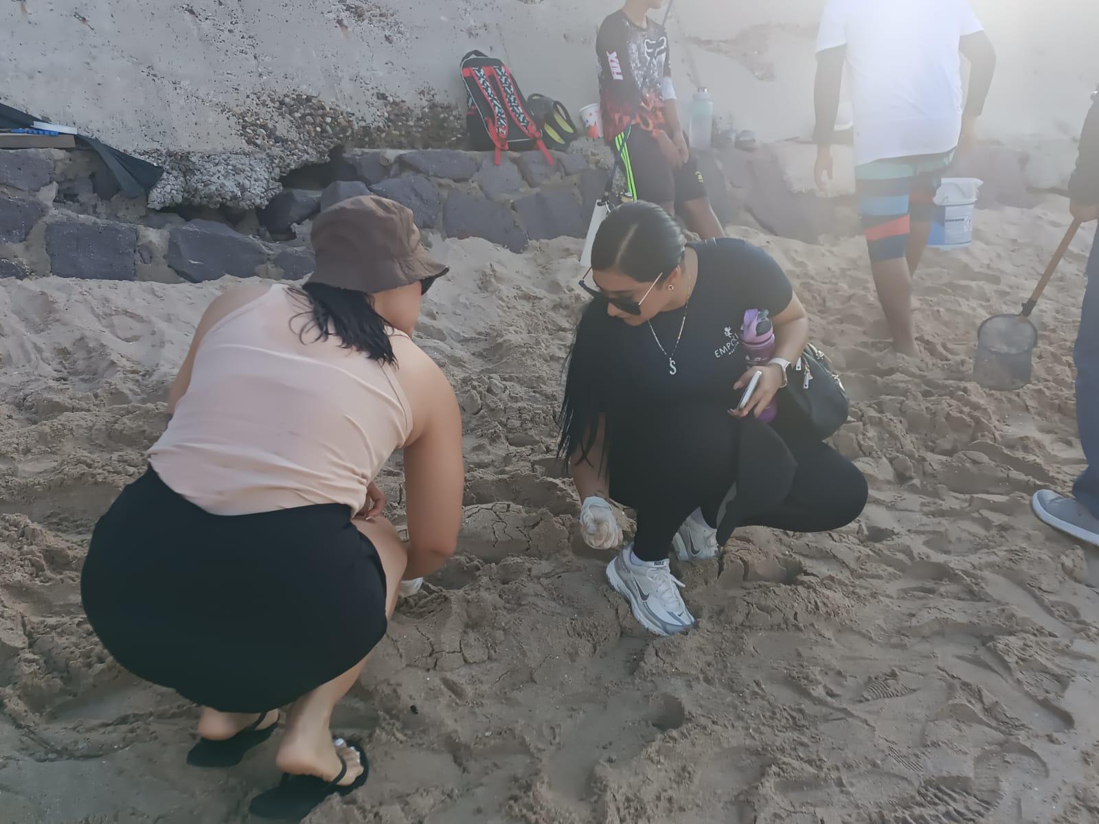 $!Estudiantes y voluntarios se suman a una nueva limpieza de playas en Mazatlán