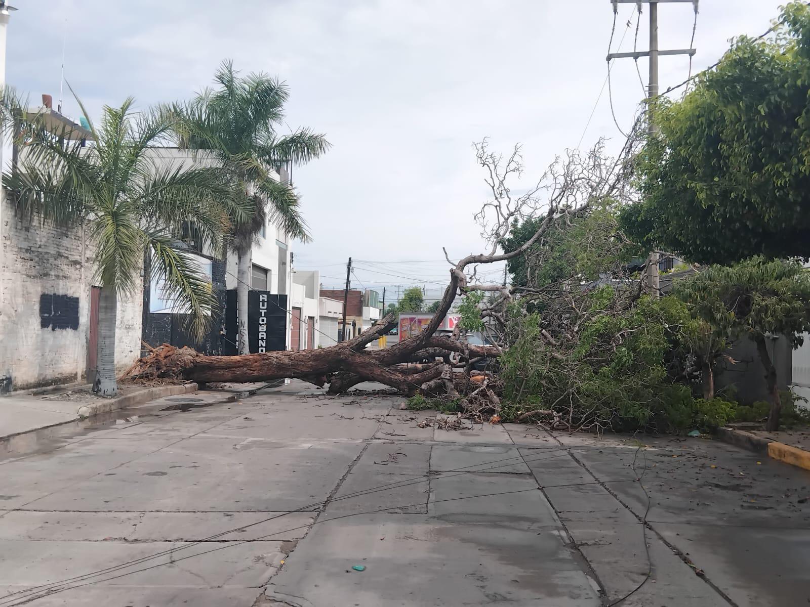 $!Lluvias en Mazatlán provocan inundaciones en algunas colonias y vialidades