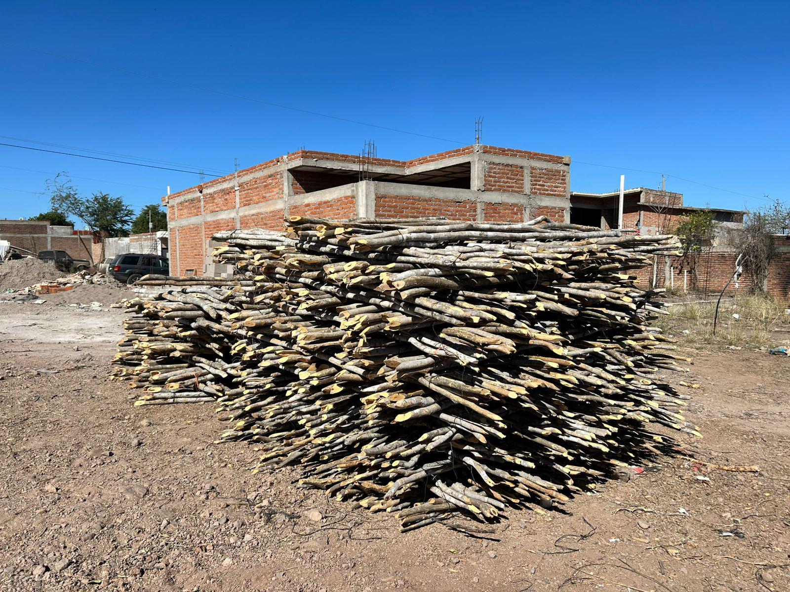 $!Denuncian tala clandestina en ejido Siete Gotas, en Culiacán