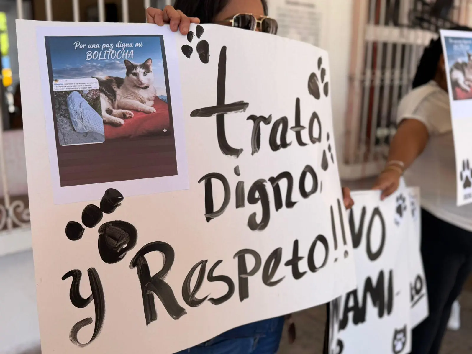 $!Denuncian presunto fraude en crematorio de mascotas en Mazatlán