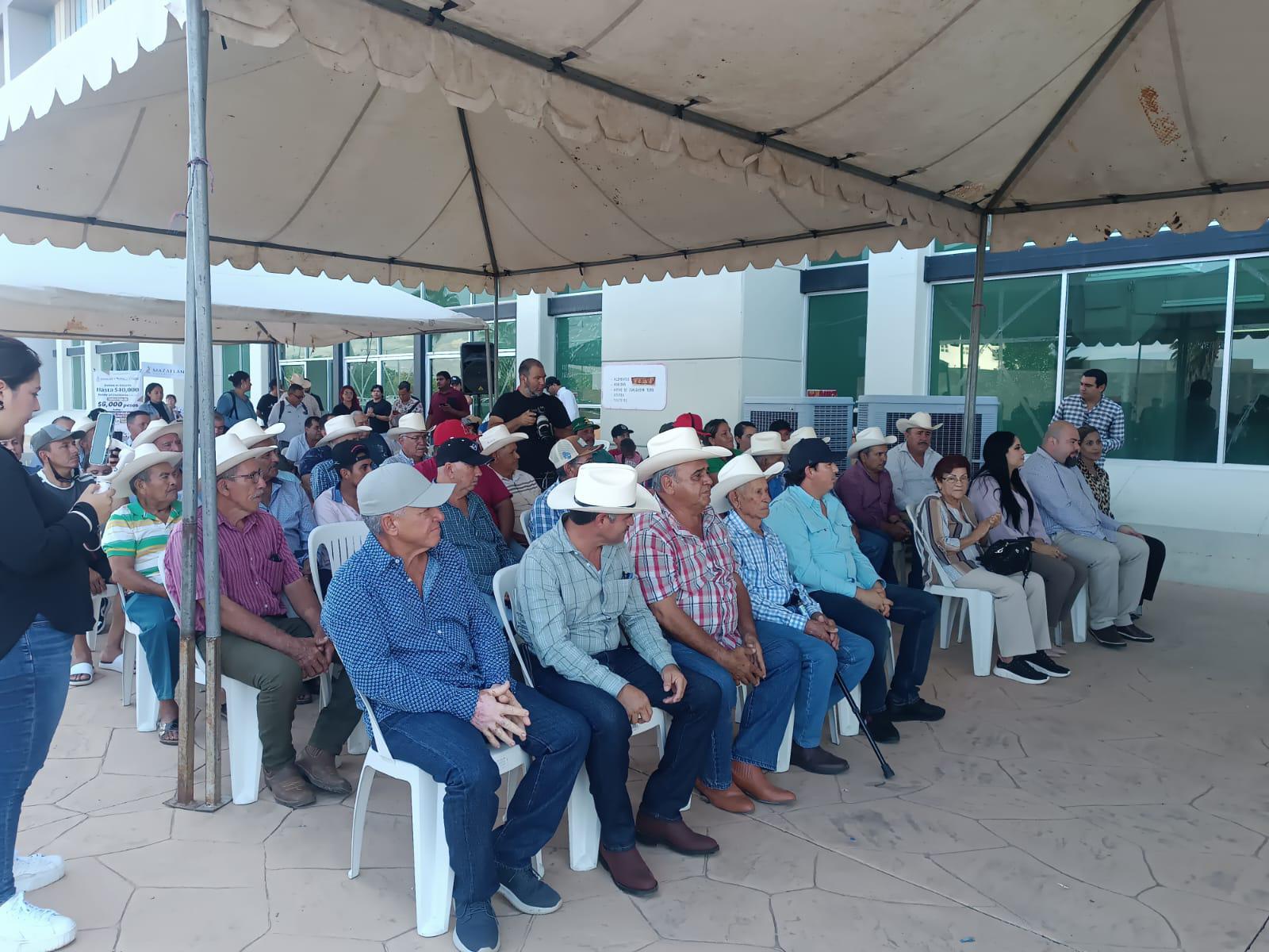 $!Mazatlán fortalece al sector ganadero con entrega de semilla y apoyo para mejoramiento genético