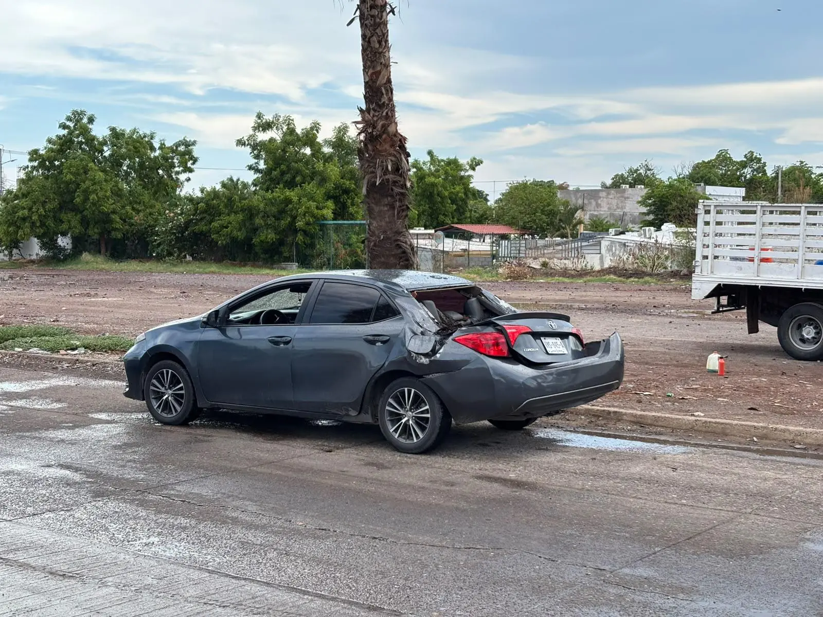 $!Viejo álamo cae sobre el Bulevar Rosales, en Los Mochis y provoca daño en dos vehículos