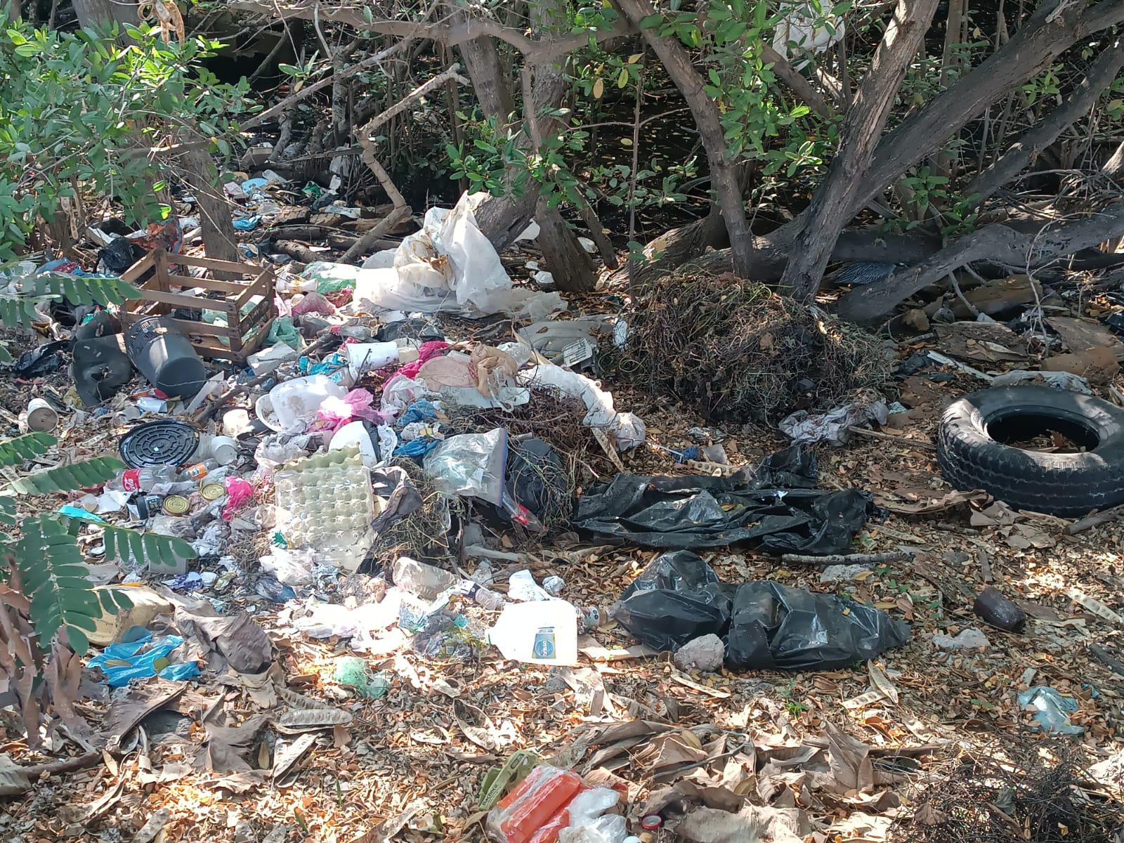 $!Estero del Infiernillo, en Mazatlán, sigue acumulando toneladas de basura
