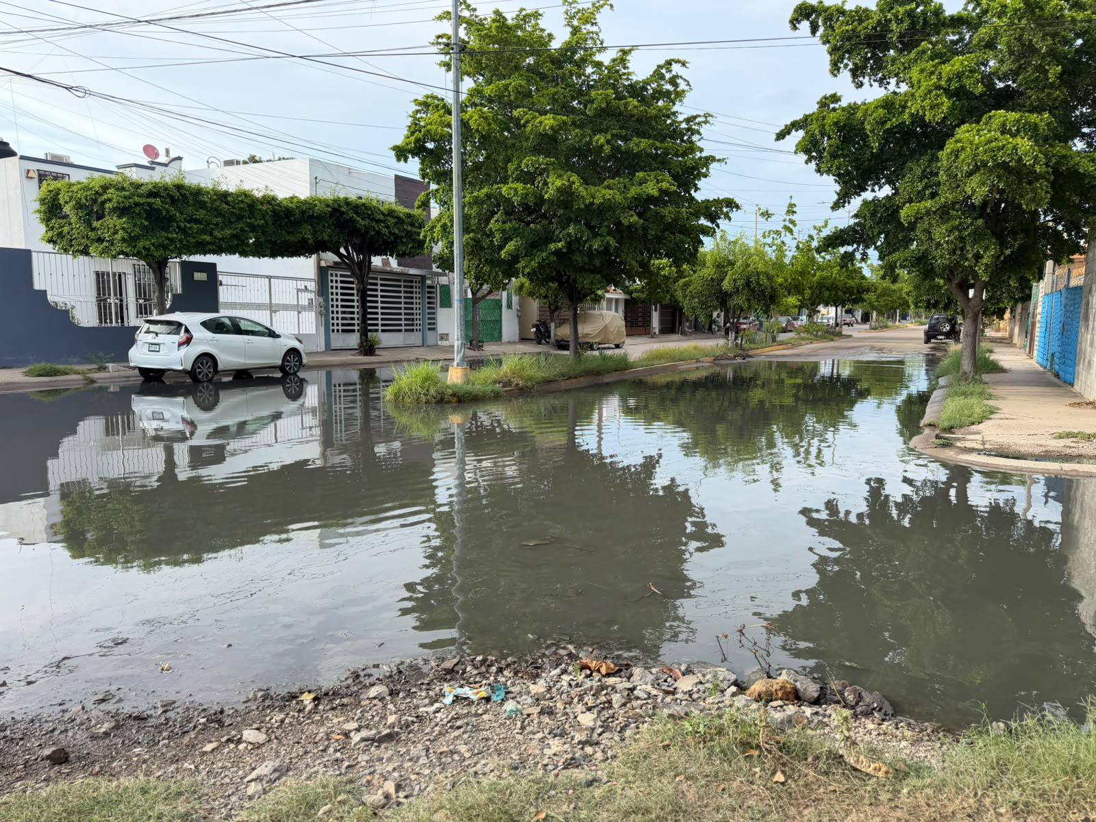 $!Exigen solución a derrame de aguas negras en Bugambilias-La Esperanza