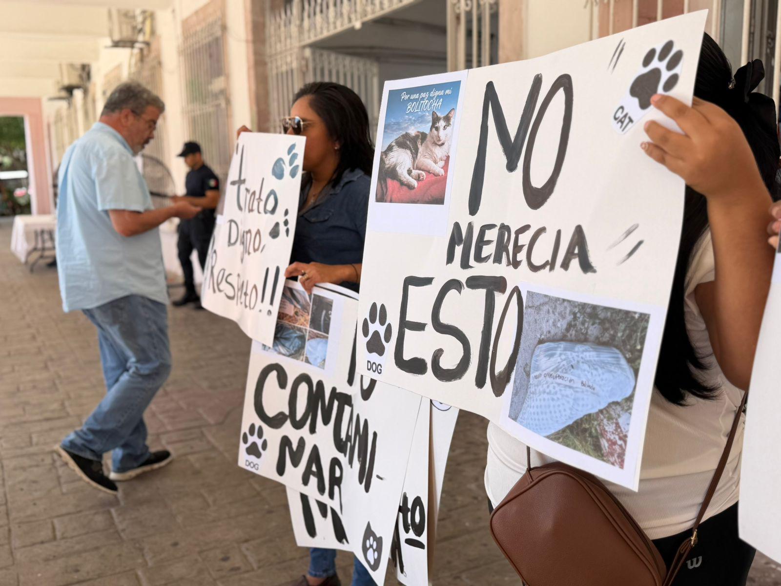 $!Denuncian presunto fraude en crematorio de mascotas en Mazatlán