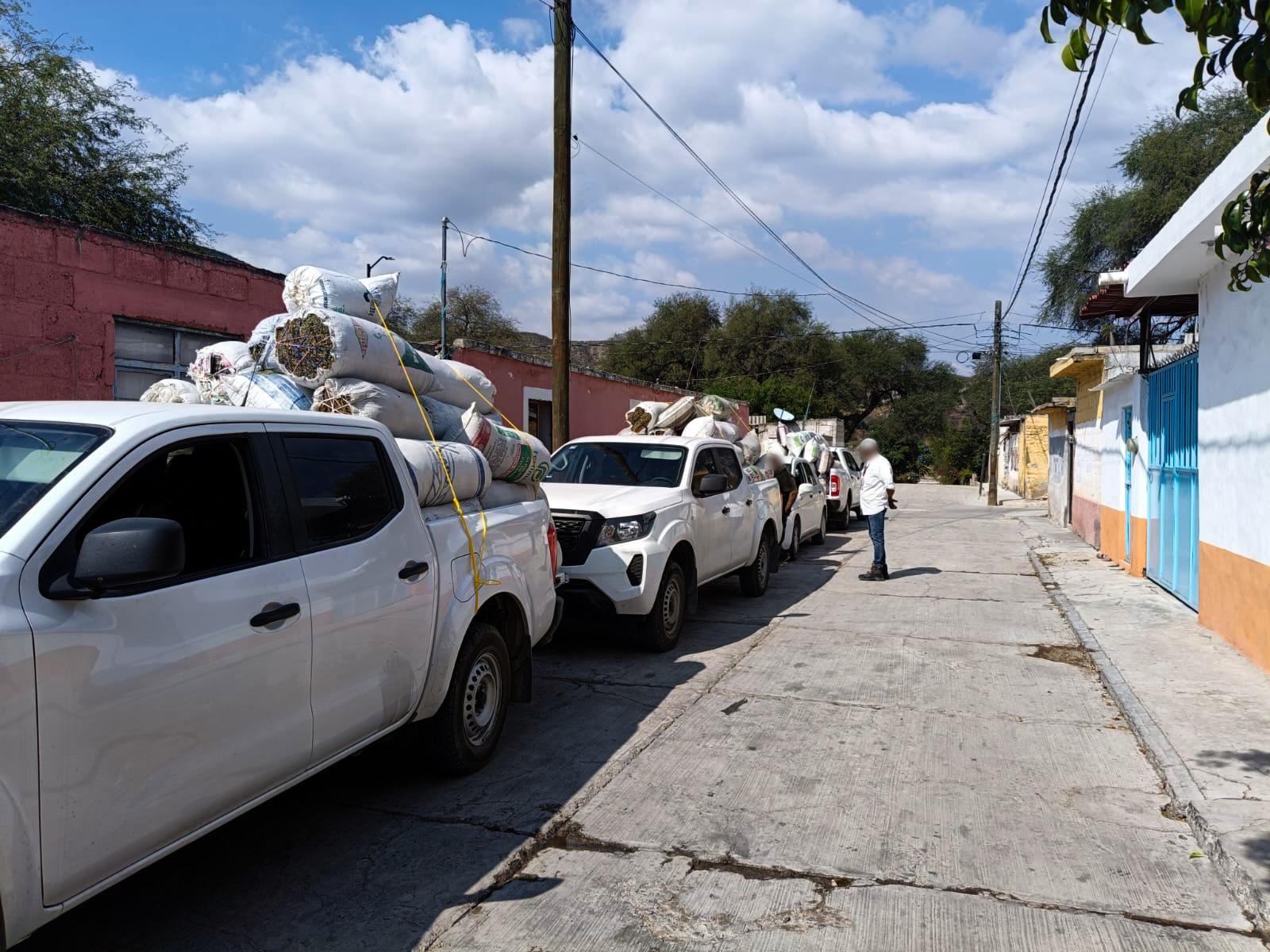 $!Cargamento de media tonelada de orégano asegurado por la Procuraduría Federal de Protección al Ambiente (Profepa) en Querétaro, en diciembre de 2025.