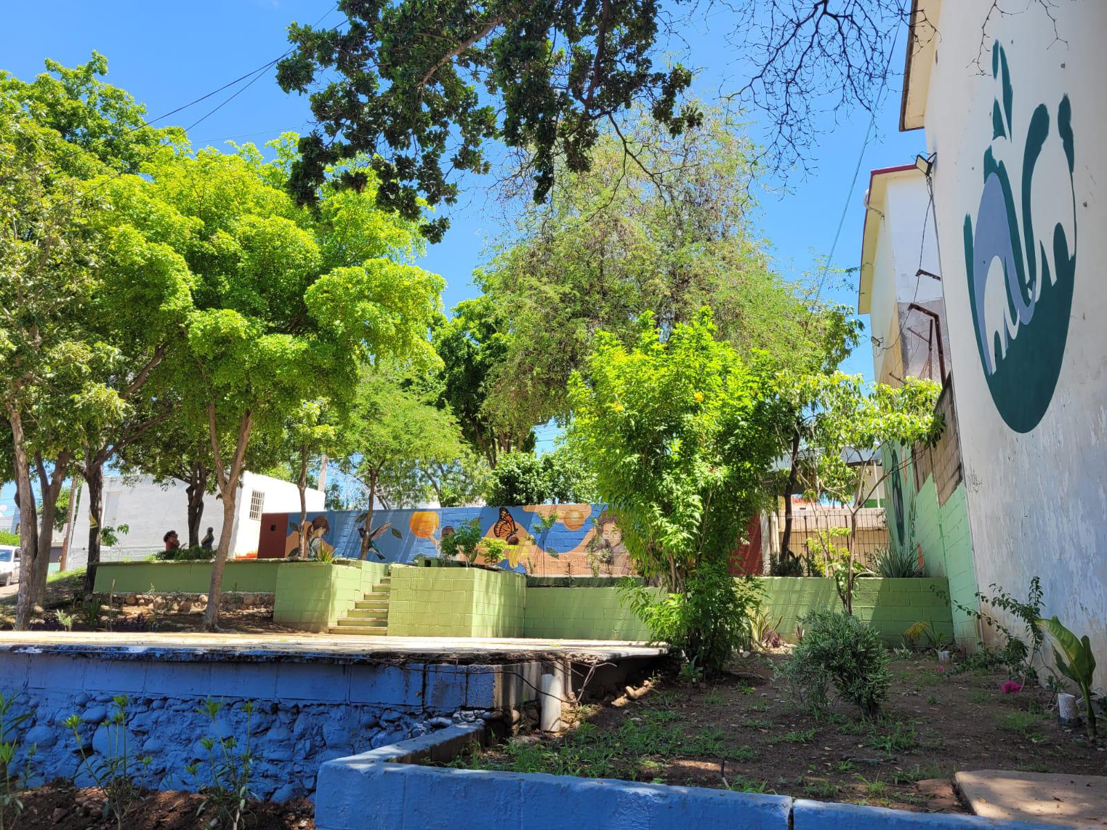 $!Vecinas de Cañadas, en Culiacán, defienden y cuidan el parque de la colonia